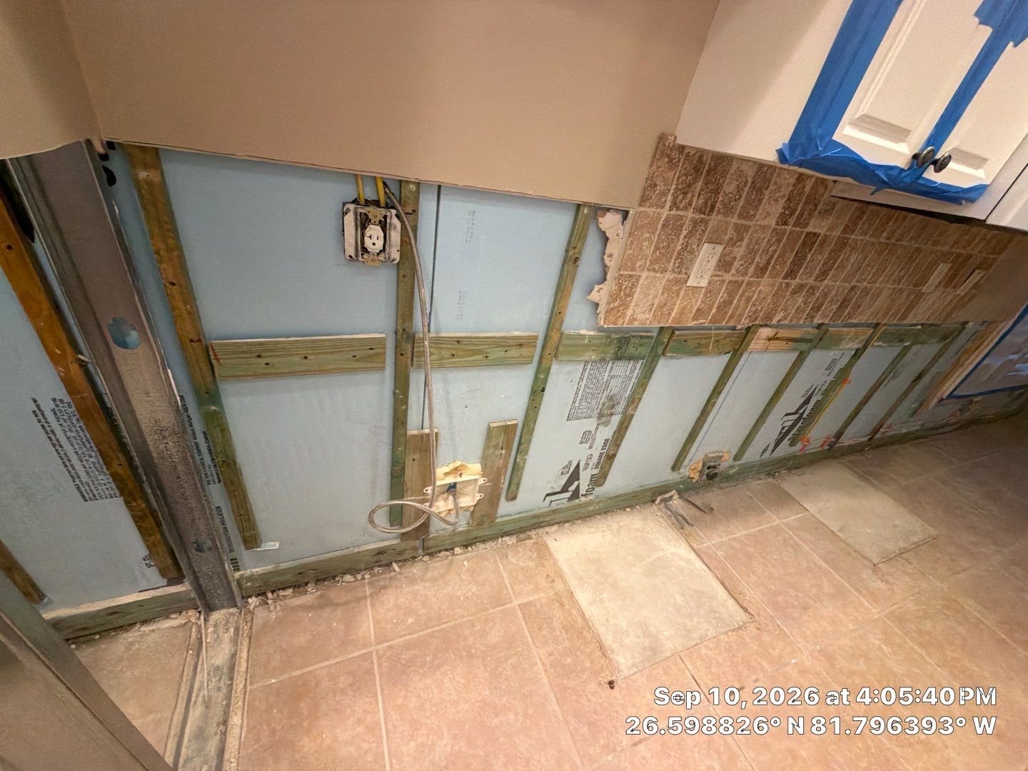 Fort Myers Water Damage Restoration and Professional Mold Remediation by Microscope