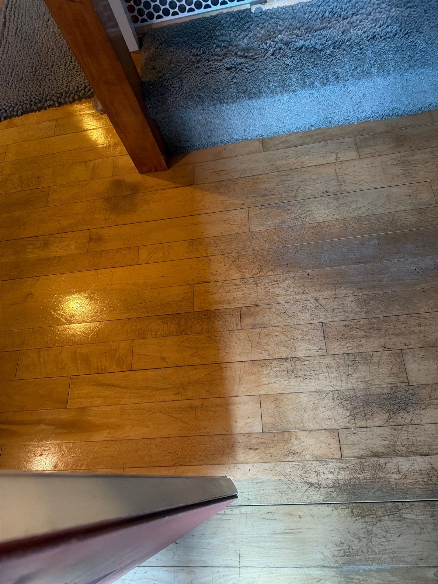 Maid service cleaning Project in Tigard by Cloud 9 Professional Cleaning Services