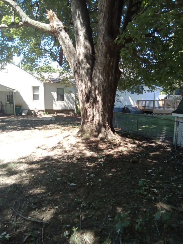 Storm Damaged Tree Removal  using Tree Removal by Mike Jones & Sons Tree Service LLC 