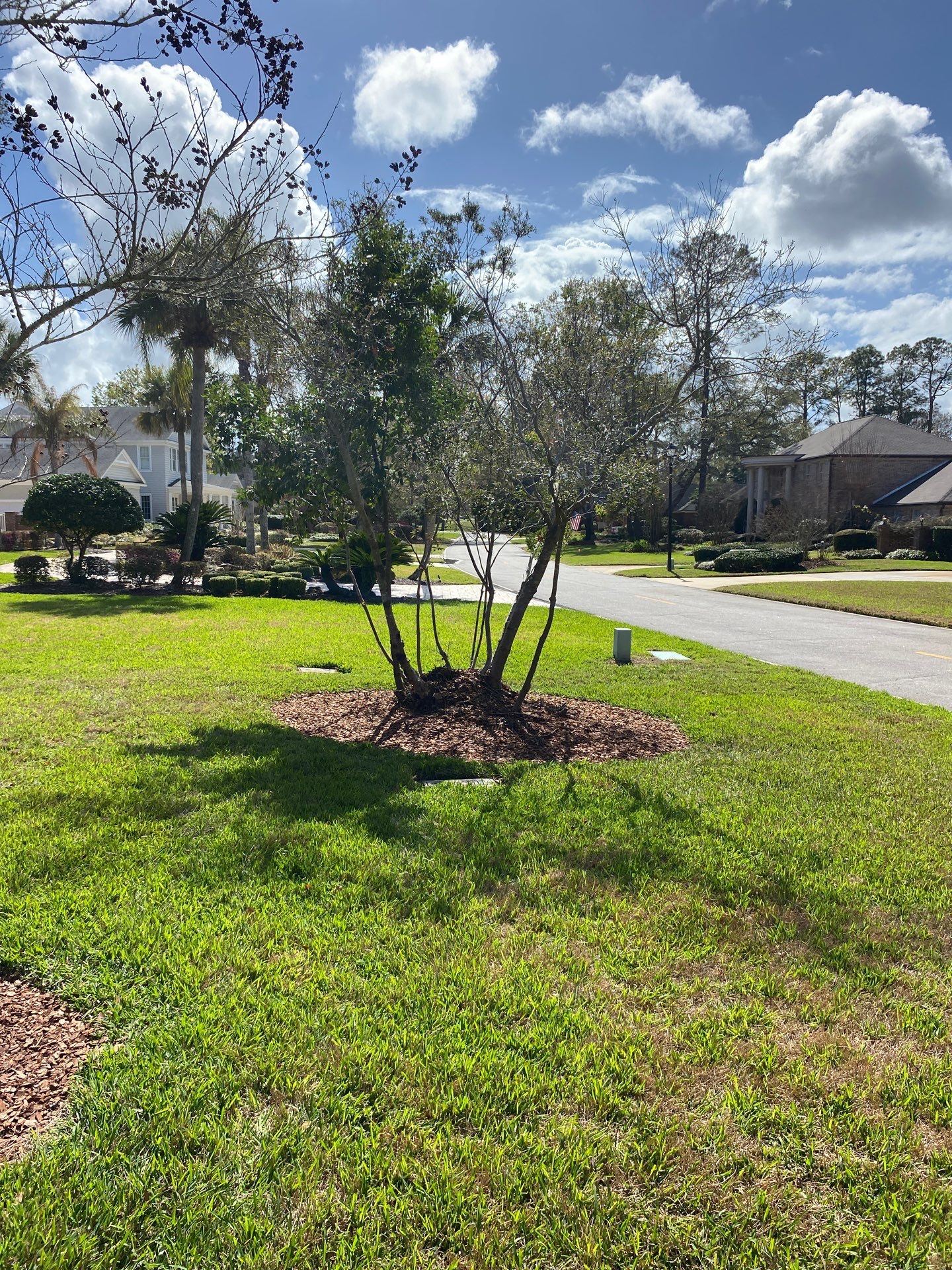 Deerwood Resident | Landscaping by ProGreen Services