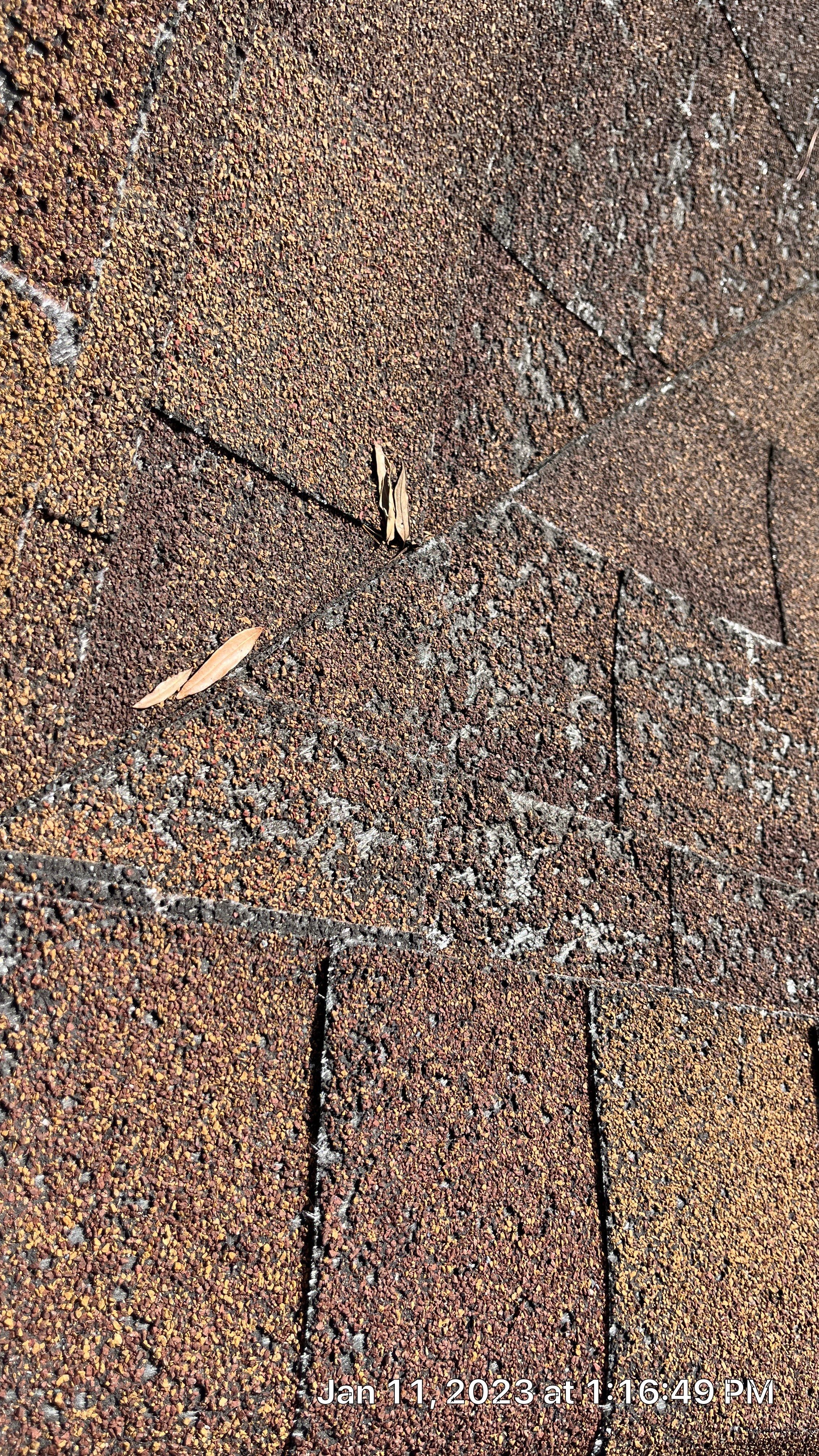 Residential Shingle Reroof using Malarkey Highlander NEX by Hostetler Roofing