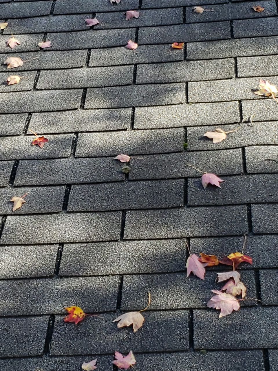 ATLAS PINNACLE SCOTCHGARD COLOR: PEWTER DRIP EDGE: BLACK by Eagle Eye Roofing