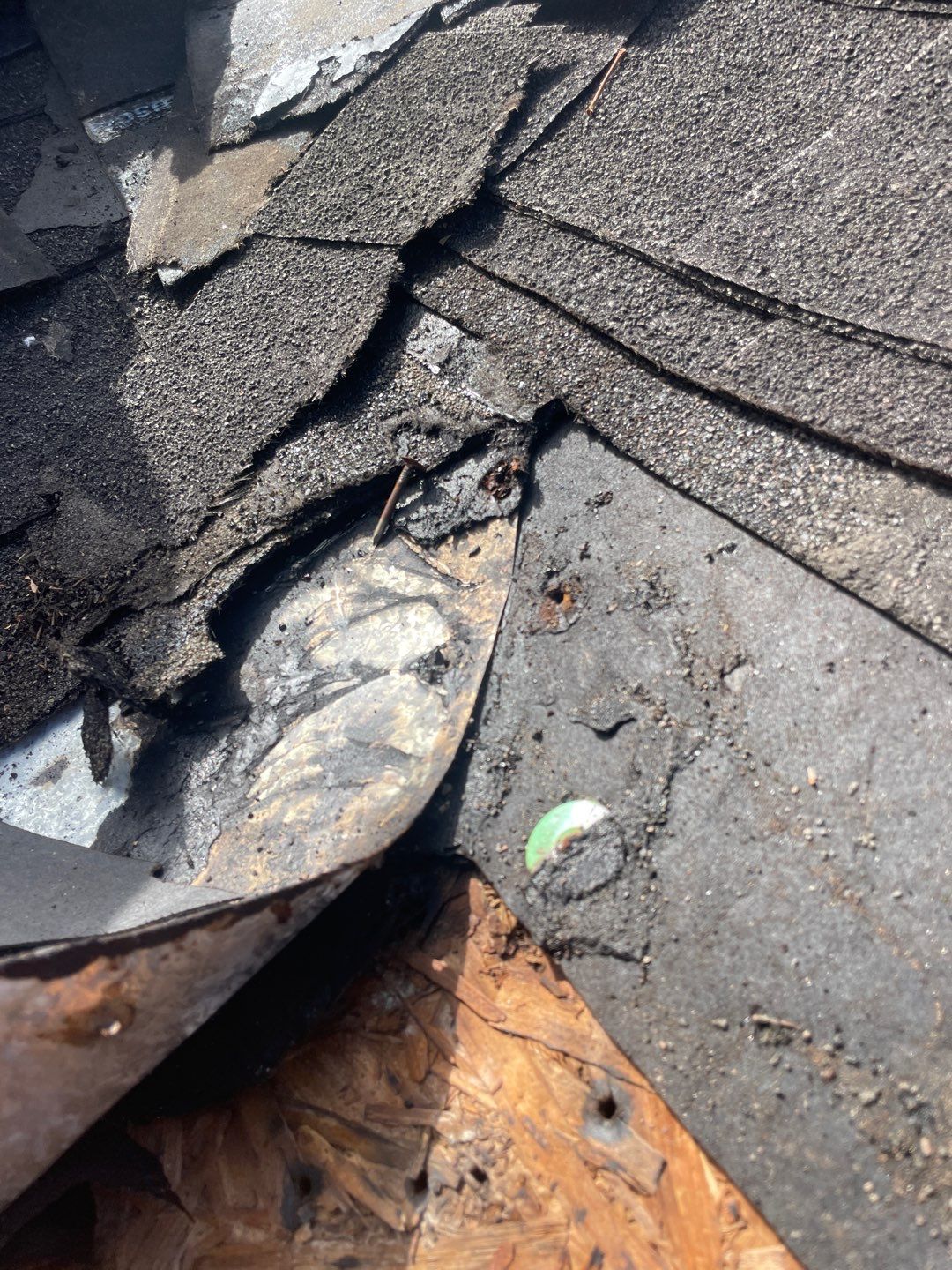 Residential Roofing Repair using Asphalt Shingles by RoofSmith of Tampa Bay