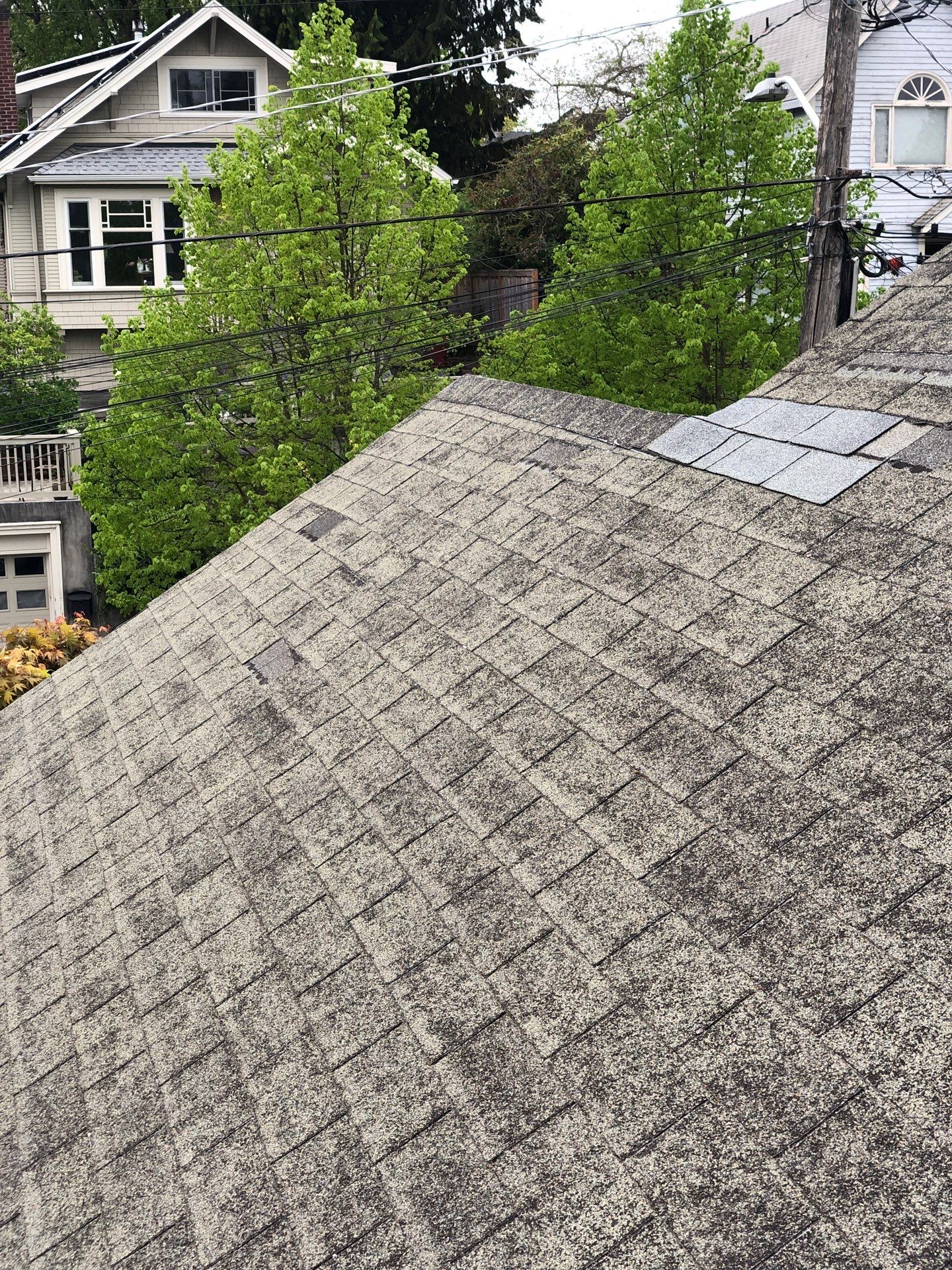 Project in Seattle by Peaks and Valleys Construction