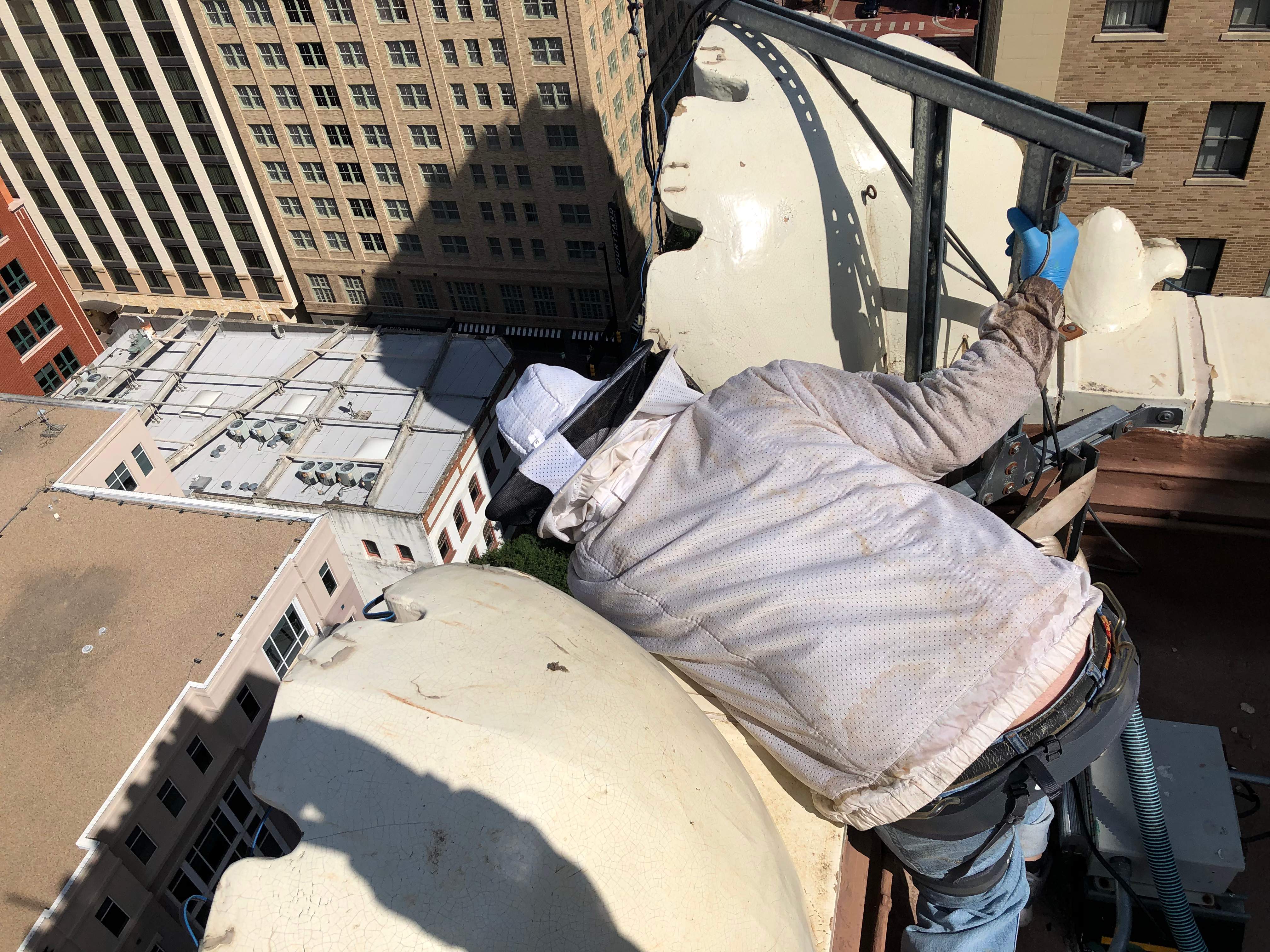 Downtown Highrise by Rockwall Honey Bee Company