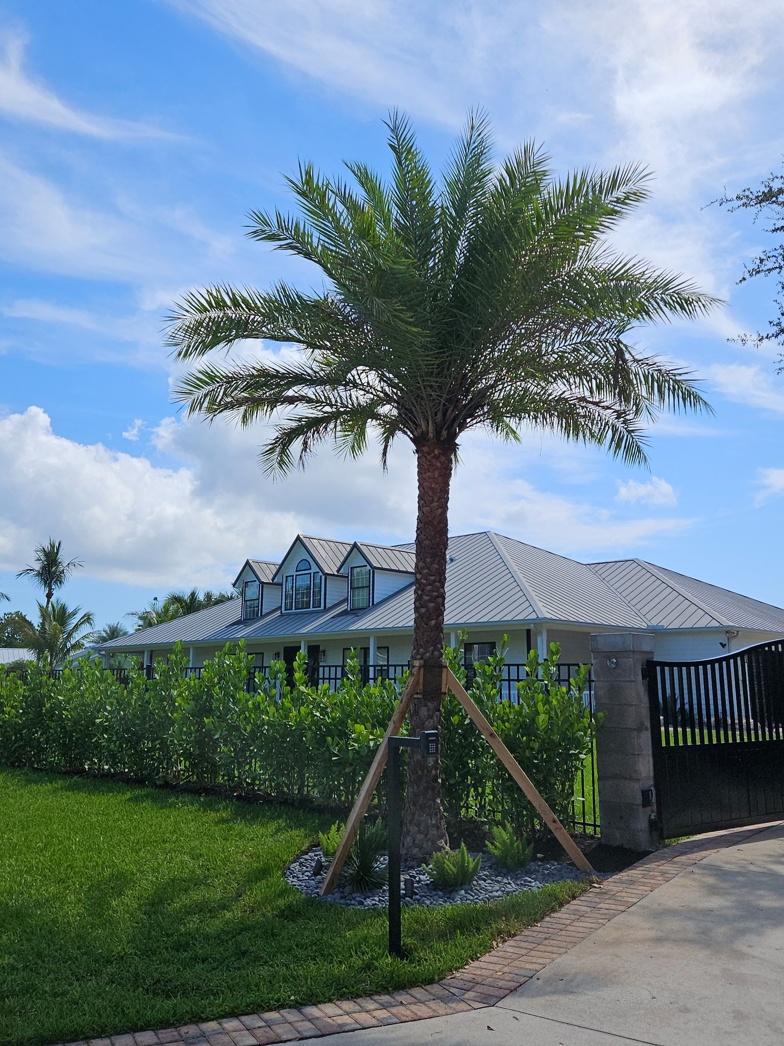 A Tropical Private Escape at Home by Alpha Zeta Enterprises Inc
