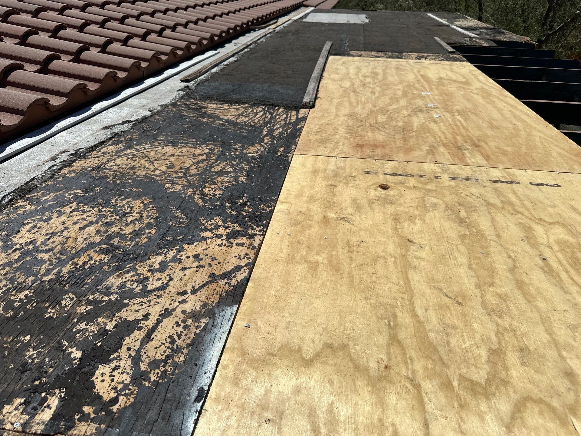 Galvanized Steel Exposed Fastener by Reimagine Roofing