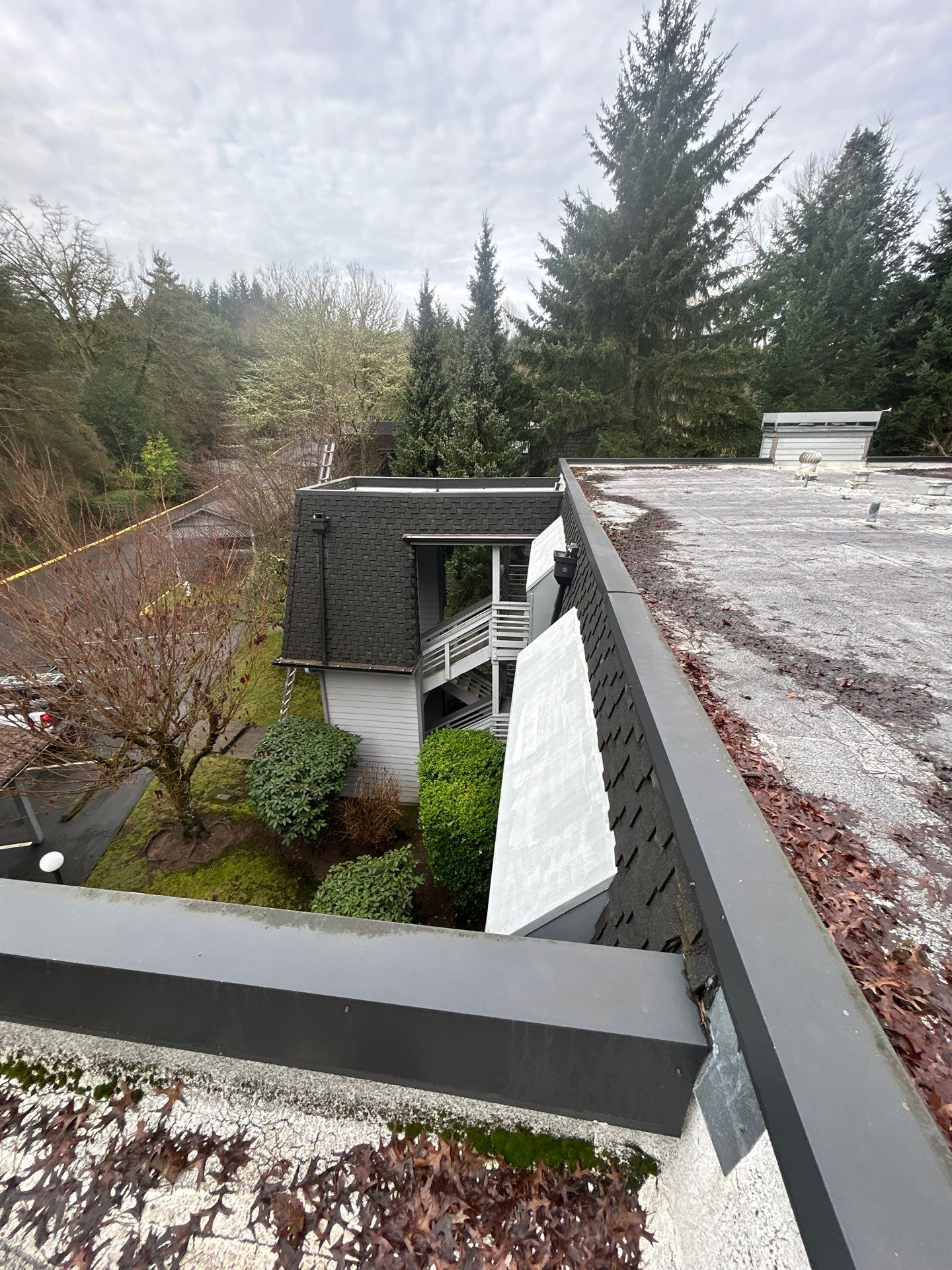Project in Kirkland by Peaks and Valleys Construction