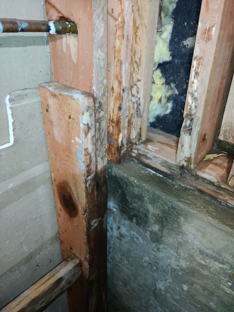 Mold Remediation in Bathroom by Accountable Home Services