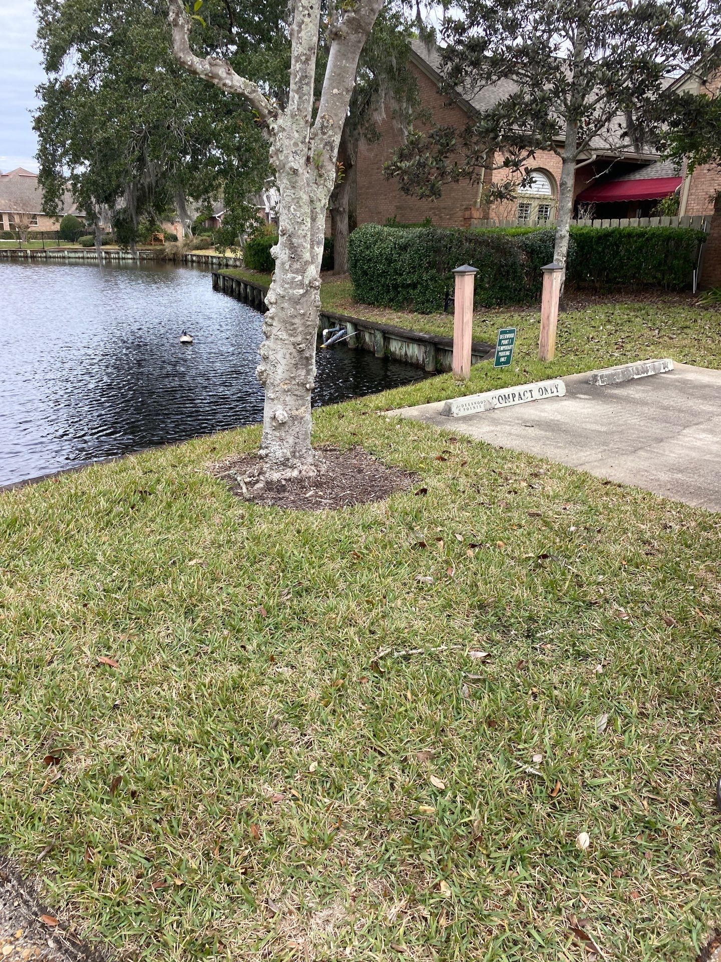 Deerwood Pointe | Tree Removal & Pine Straw Installation by ProGreen Services