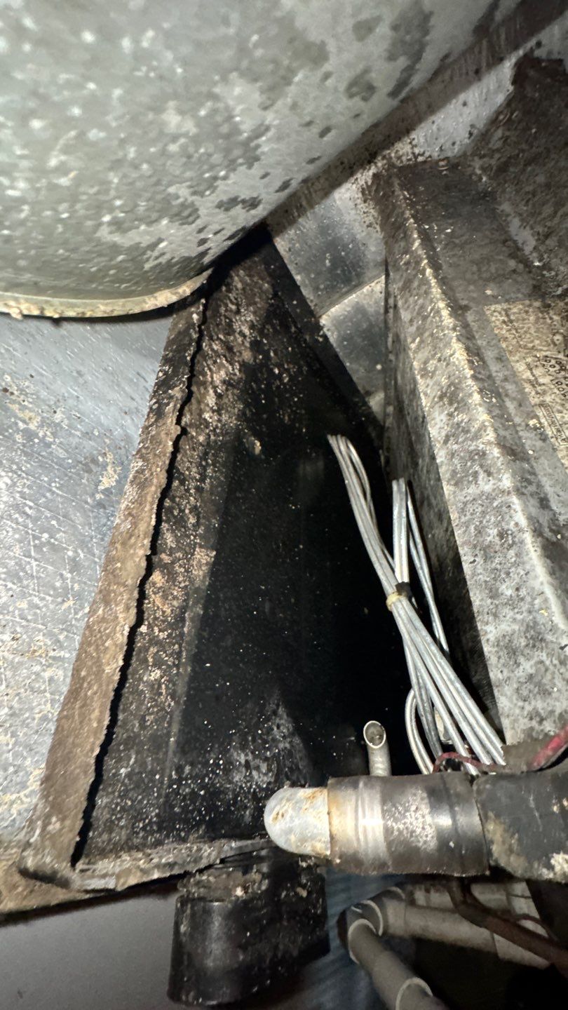 Extremely Dirty Air Duct Cleaning in Fruitland Park by Hygienic Air, Inc