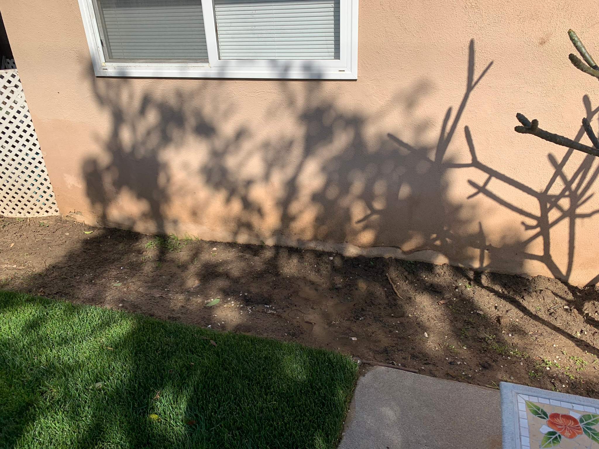 Pressure Wash using Sodium Hypochlorite and Solar Panel Cleaning in Huntington Beach by Property Cleaning Experts, LLC