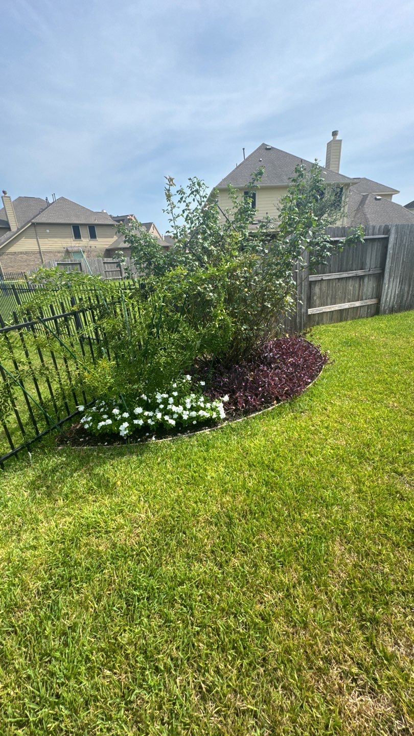 🌿 Mr. Ken’s Front Yard Flower Bed Enhancement by Texas Urban Elements