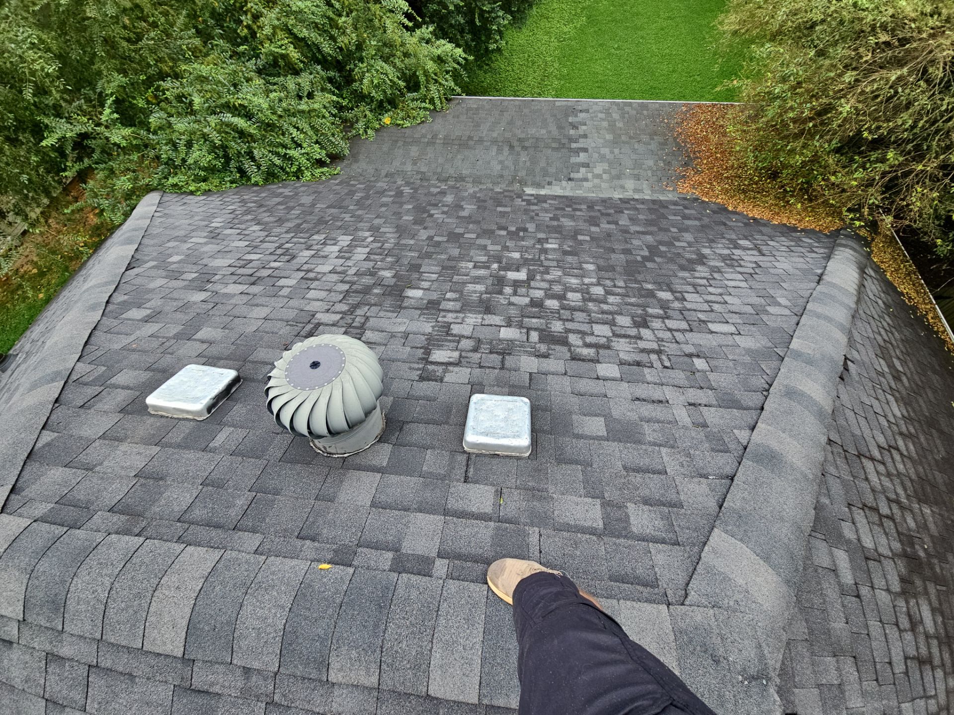 Judy roof replacement  by BROCK BUILDERS 