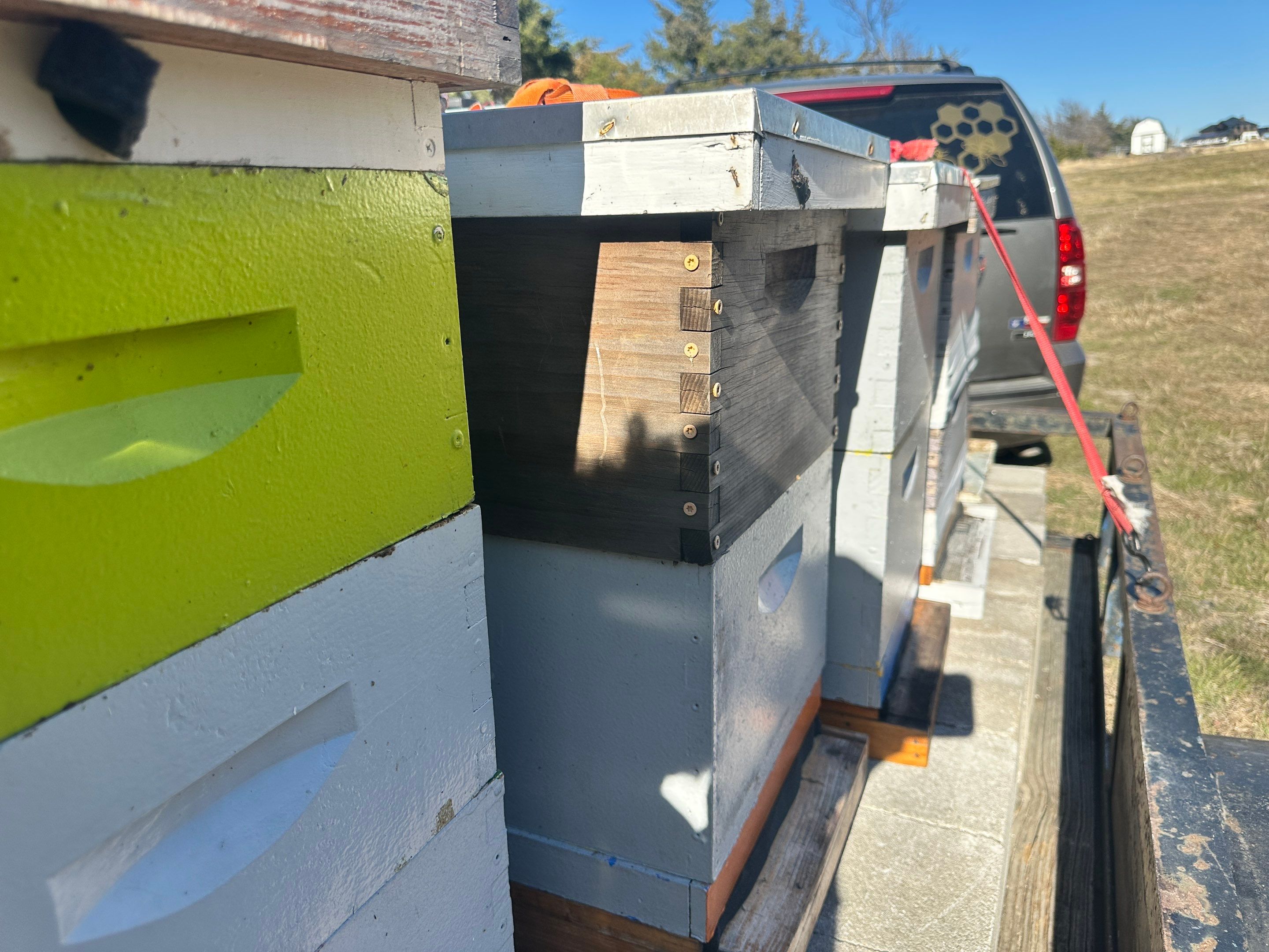 Bees for Ag. Exemption in Heath by Rockwall Honey Bee Company