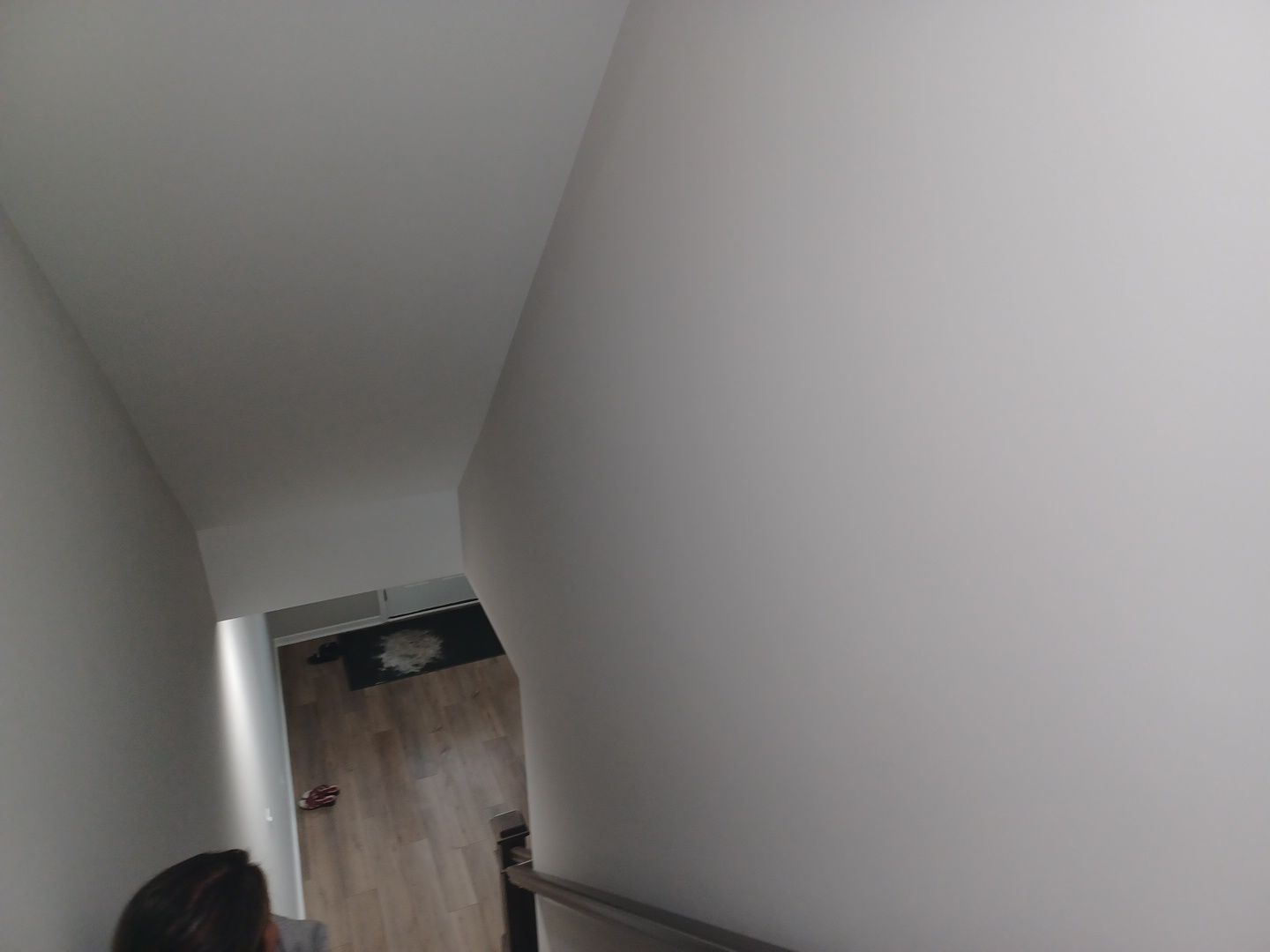 Project in Novi by EzDry Water Mitigation & Property Restoration