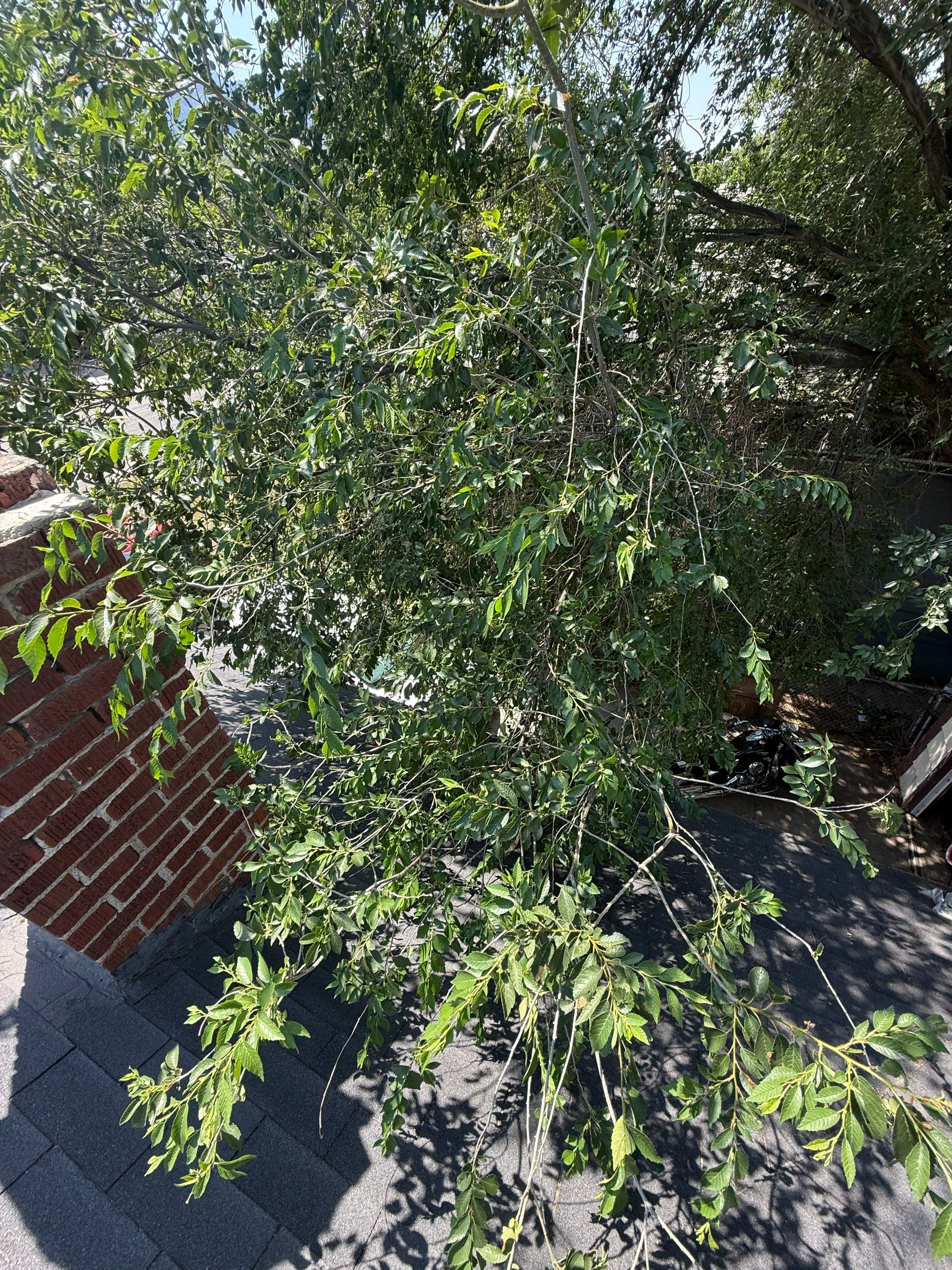 Roofing in Ogden, UT by Go Pro Roofing