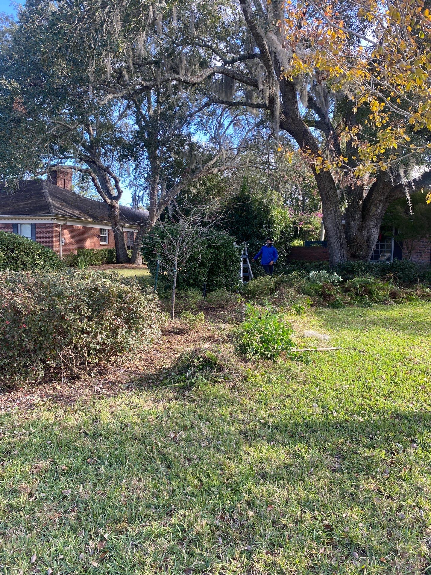 Deerwood Resident | Extreme Cleanup by ProGreen Services