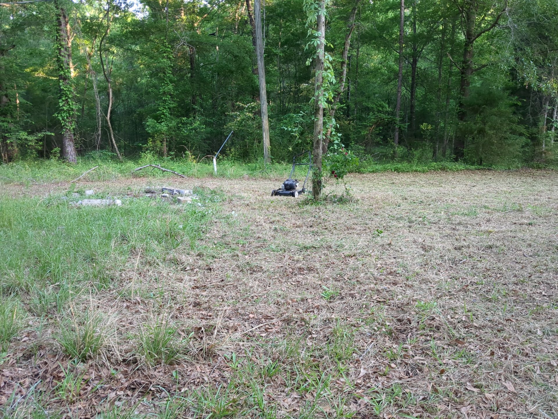 Exterior Clearing - tree trimming - grass cut by Swift Signings and Services LLC