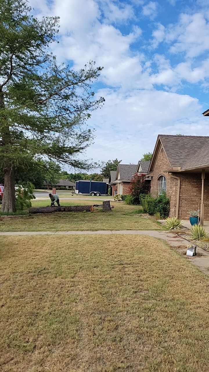 Tree removal , Concrete, Pergola, and sod install  by Clays Services Inc