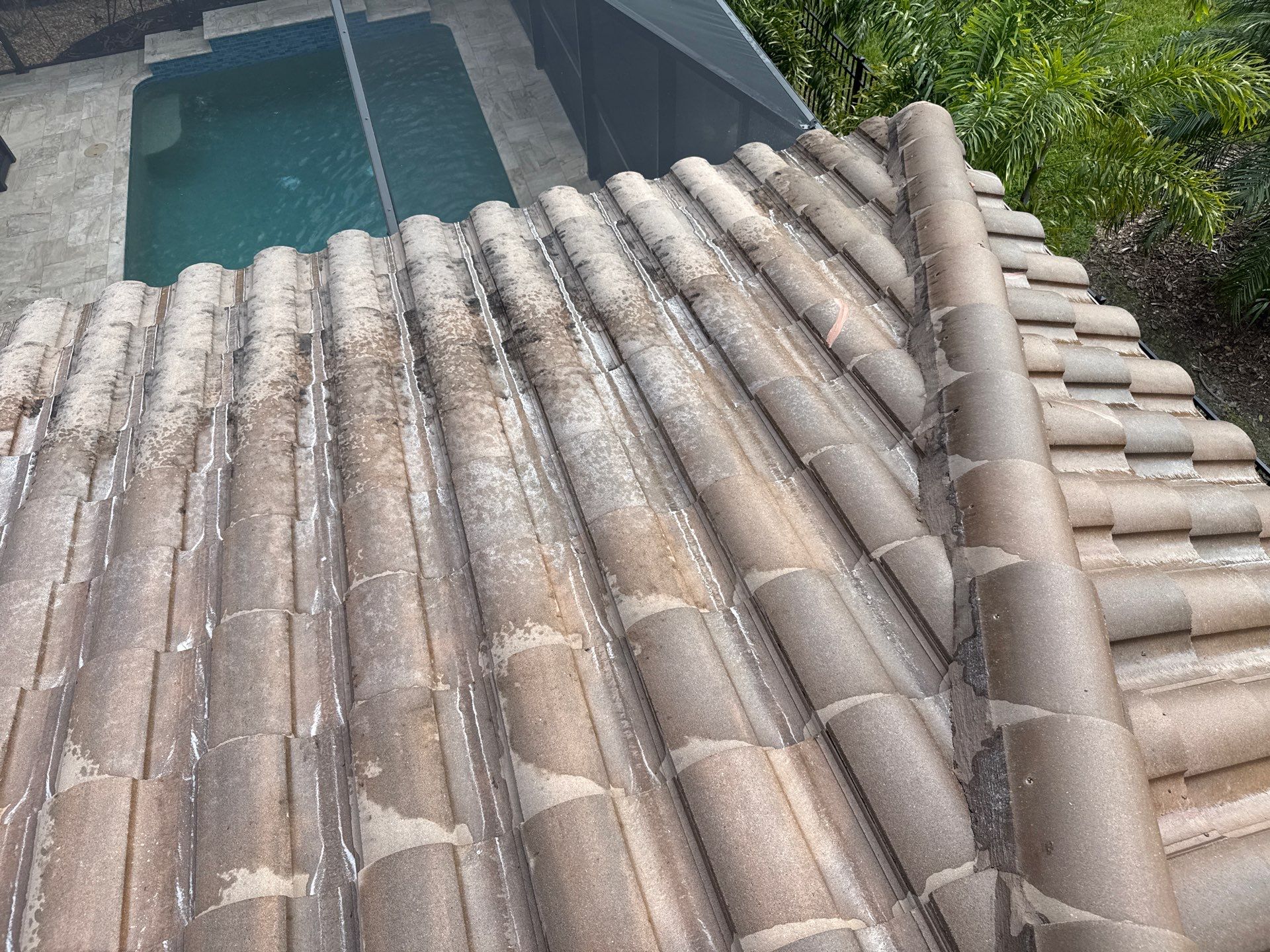 Tile Roof & Pool Deck Cleaning in Artisan Lakes Esplanade, Palmetto, FL – Sunshine AquaWash by Sunshine AquaWash