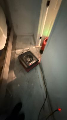 Mold Remediation — Marco Island, FL