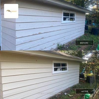 Fence Repair and Exterior Painting
