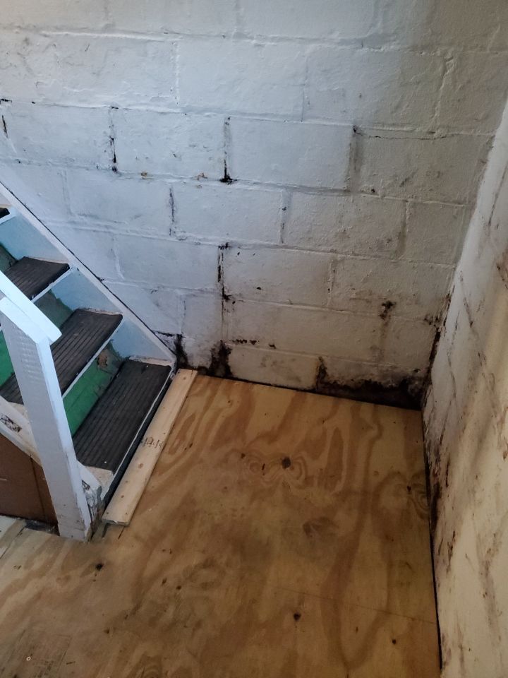 Tree Removal using Tree Removal by Mike Jones & Sons Tree Service LLC 