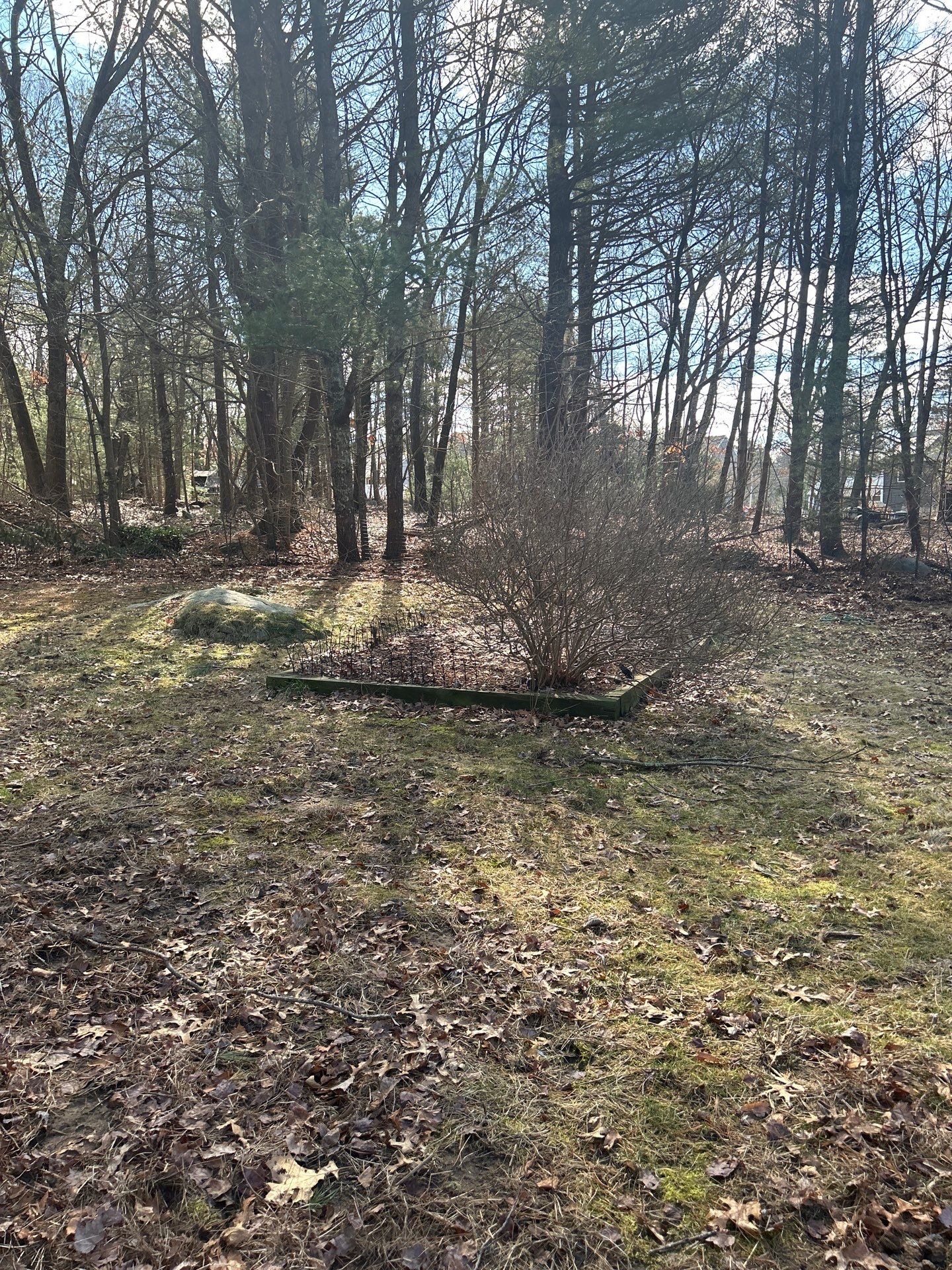 Landscape Walkthrough by LaMere Landscaping and Property Maintenance