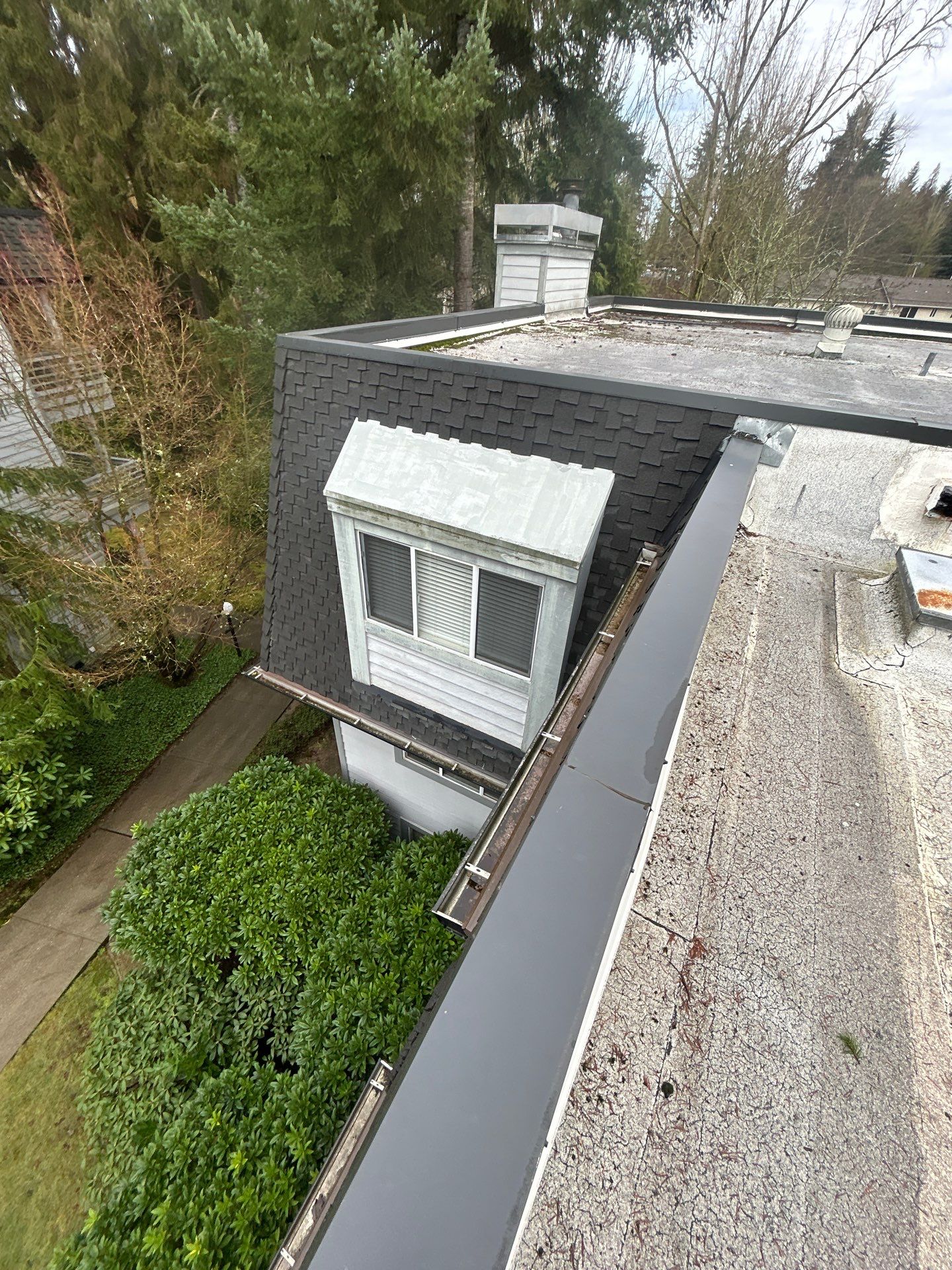 Project in Kirkland by Peaks and Valleys Construction