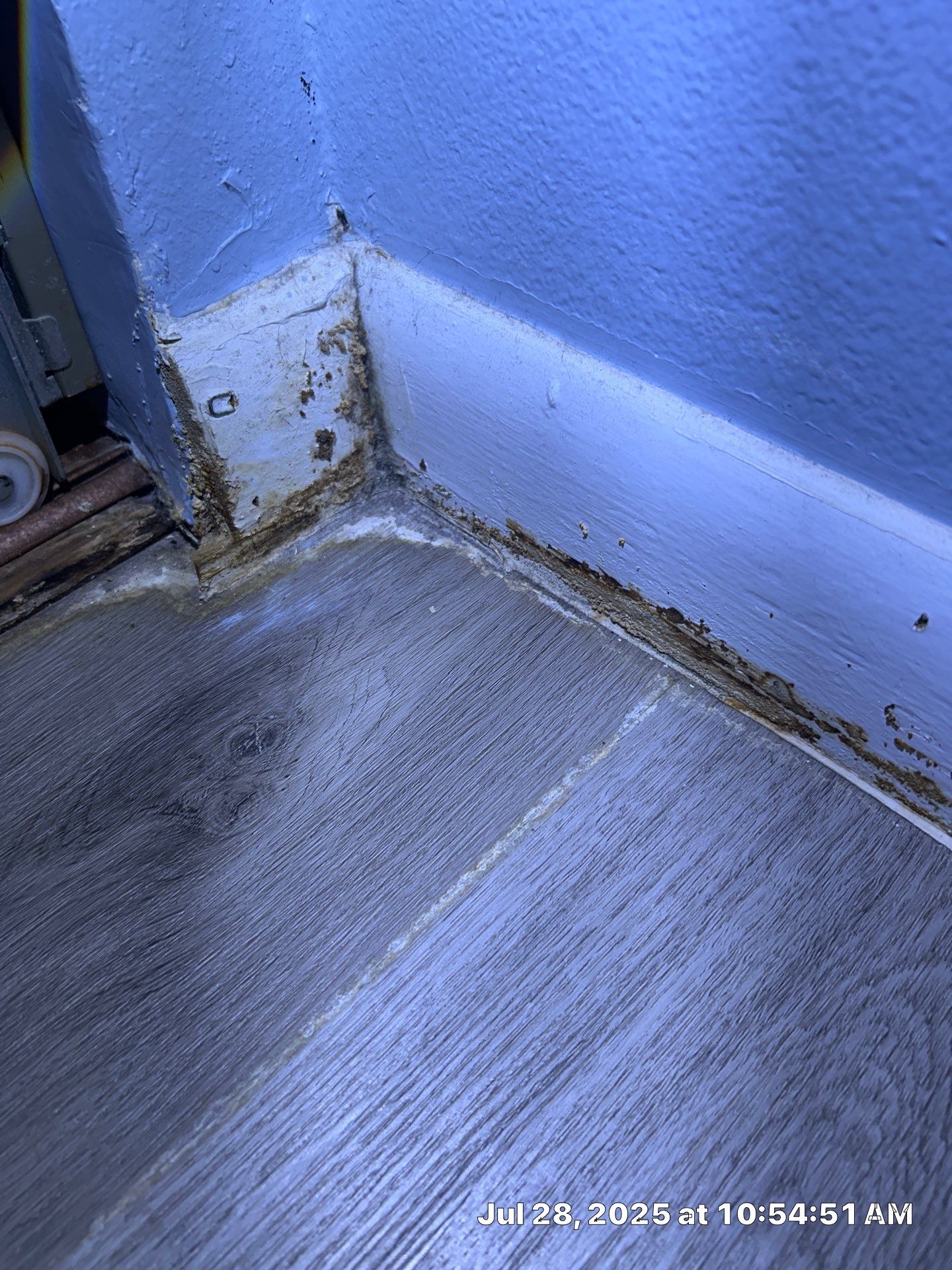 Mold Restoration In Bradenton by Ampm Restoration Services