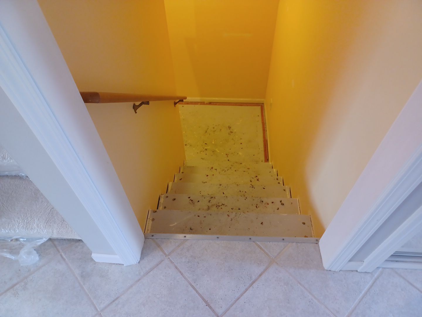 Project in Wixom by EzDry Water Mitigation & Property Restoration