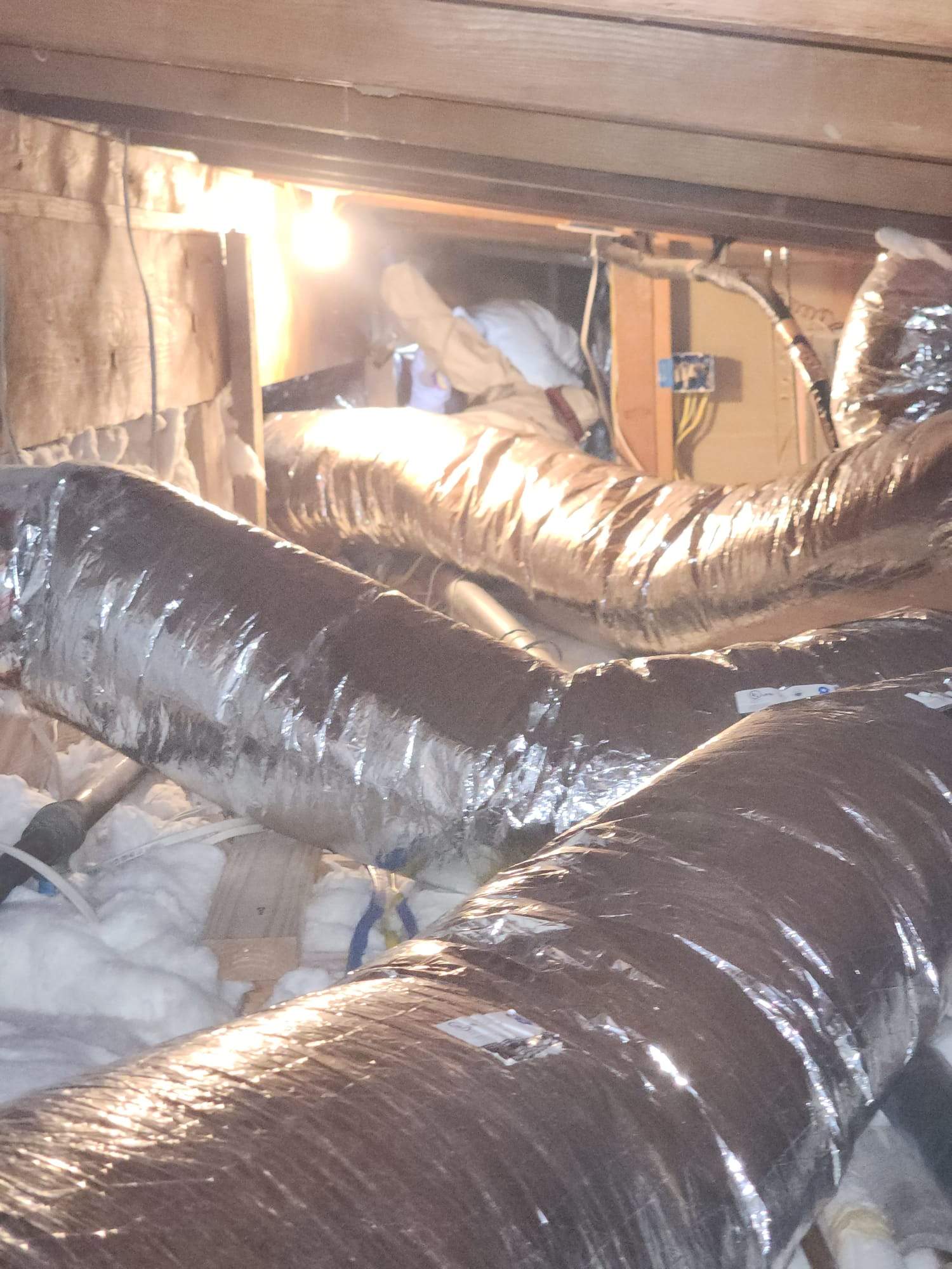 Project in Los Angeles by Advanced Attic Solutions