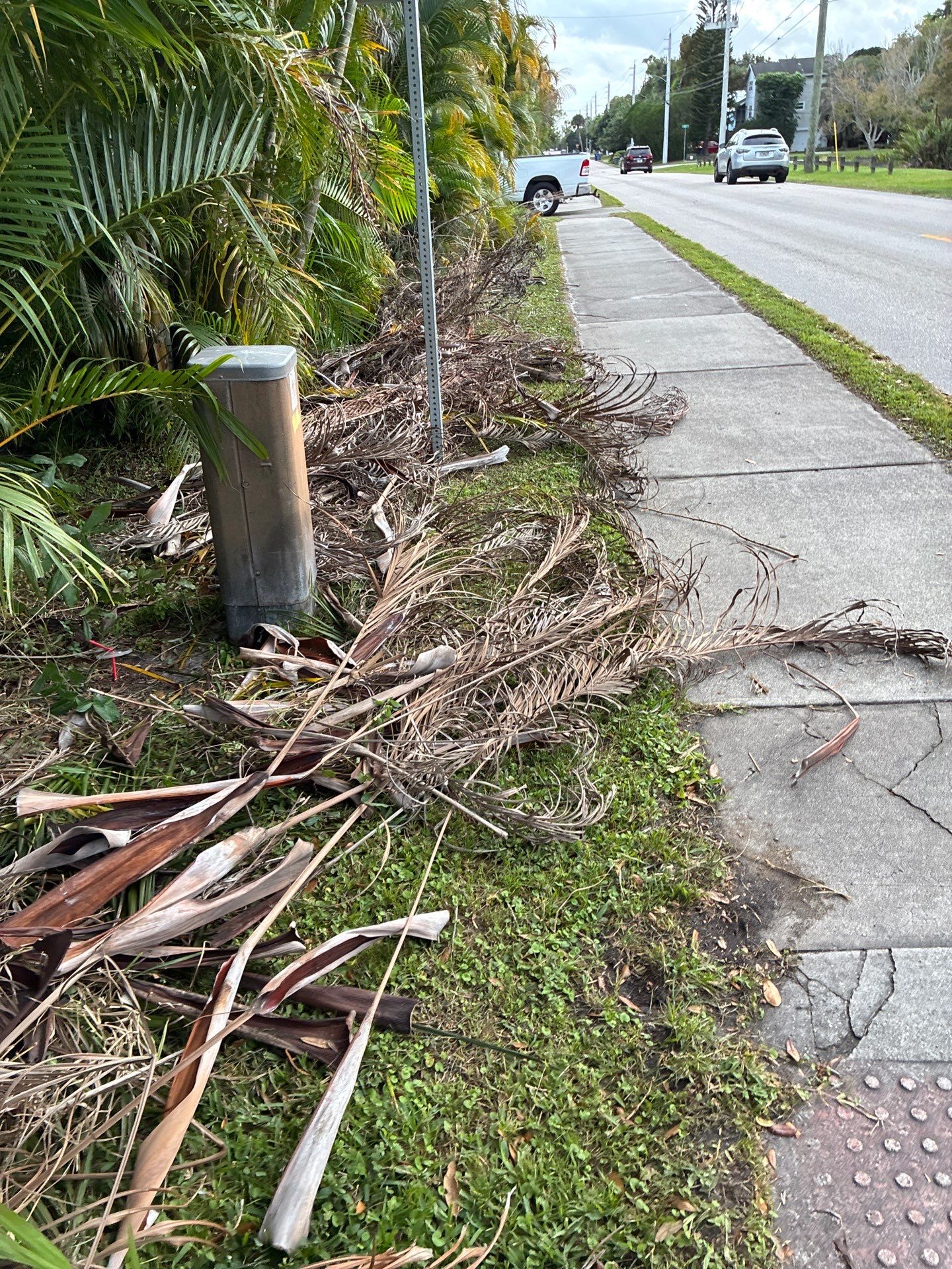🏡 Pre-Sale Property Cleanup in Old Palm City, FL by Alpha Zeta Enterprises Inc