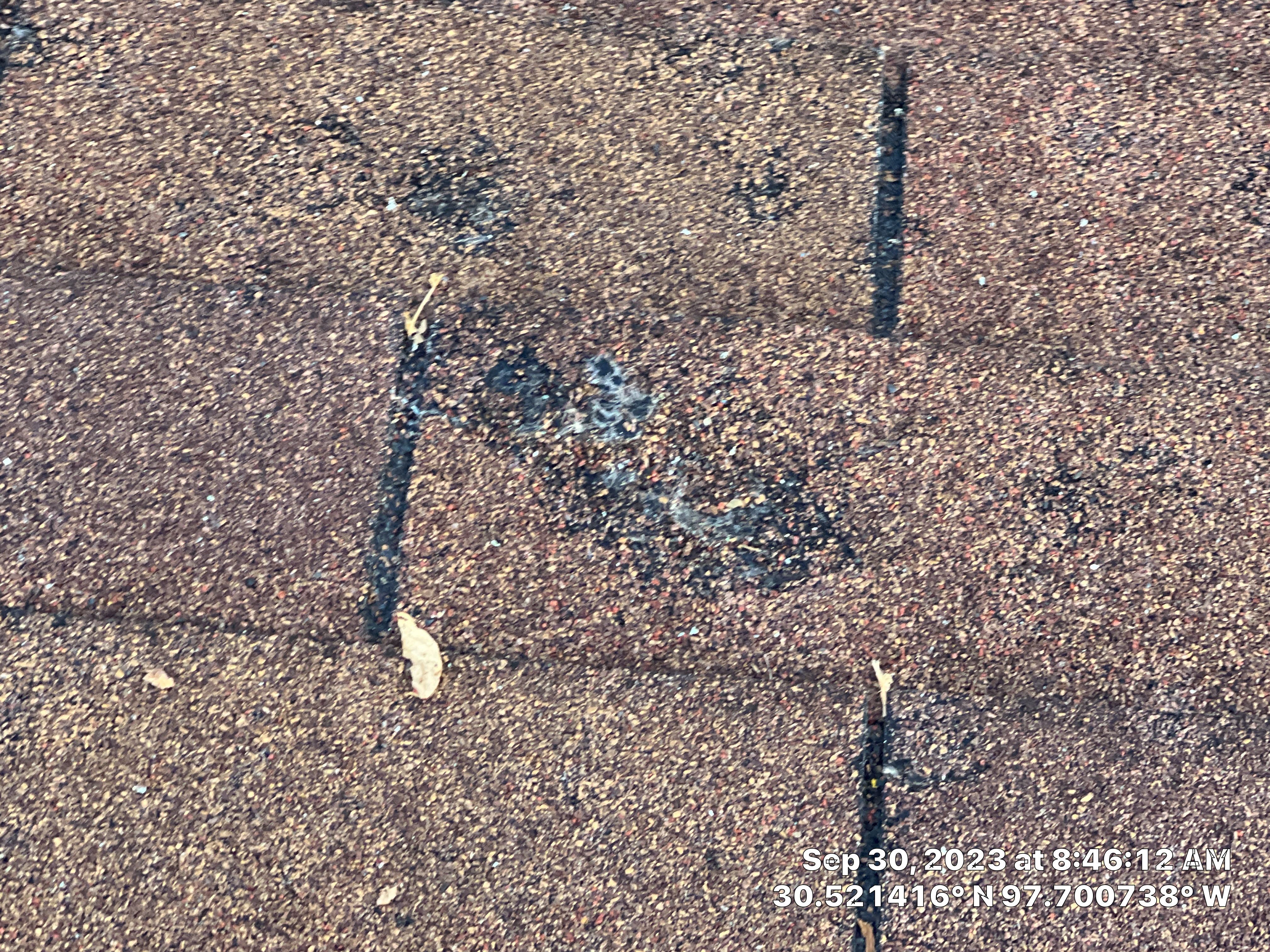 Architectural Shingle Roof Replacement and Underlayment Installation in Round Rock by Caliber Restoration LLC