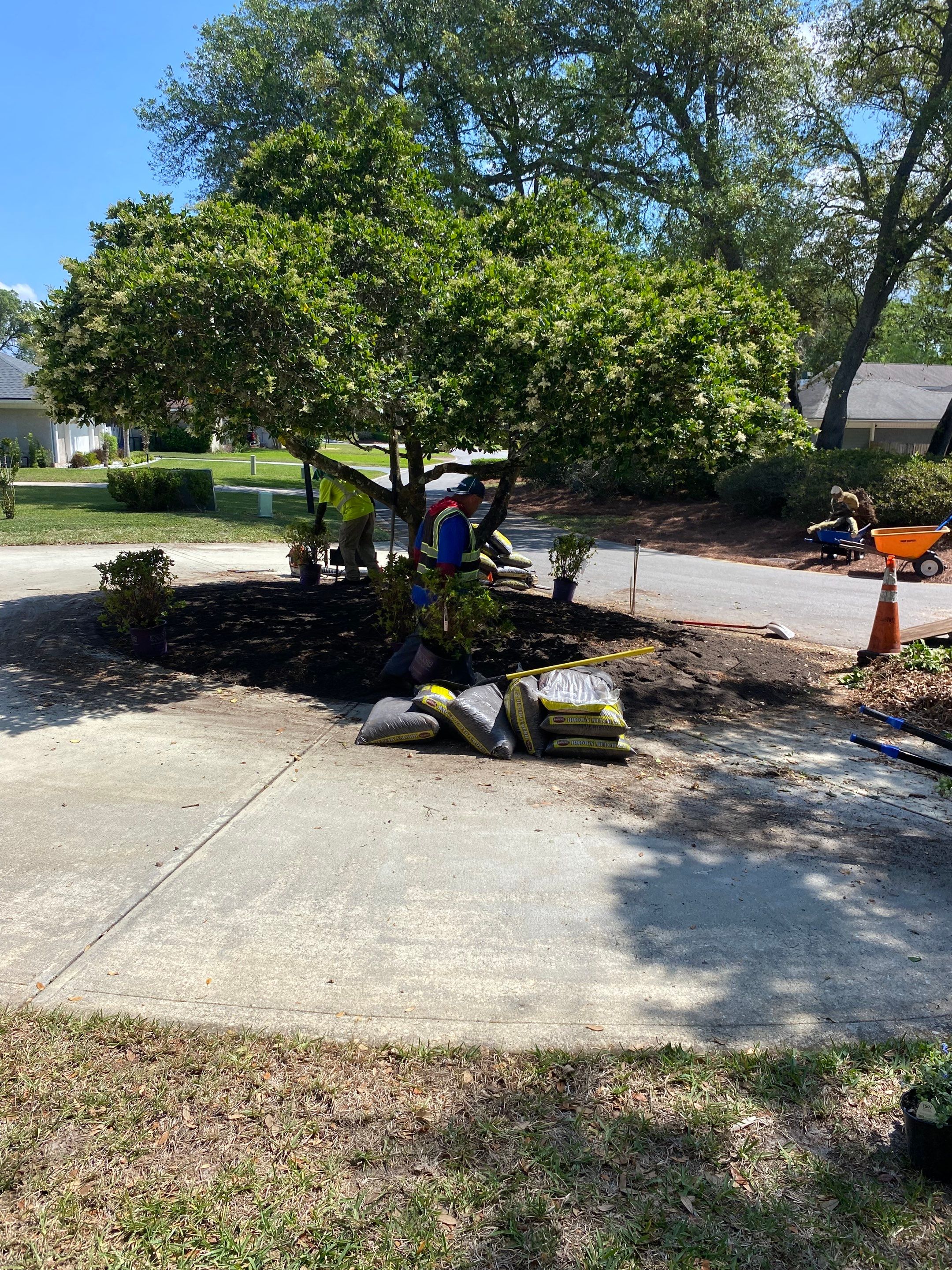Deerwood Resident | Clean-Up and Sod by ProGreen Services