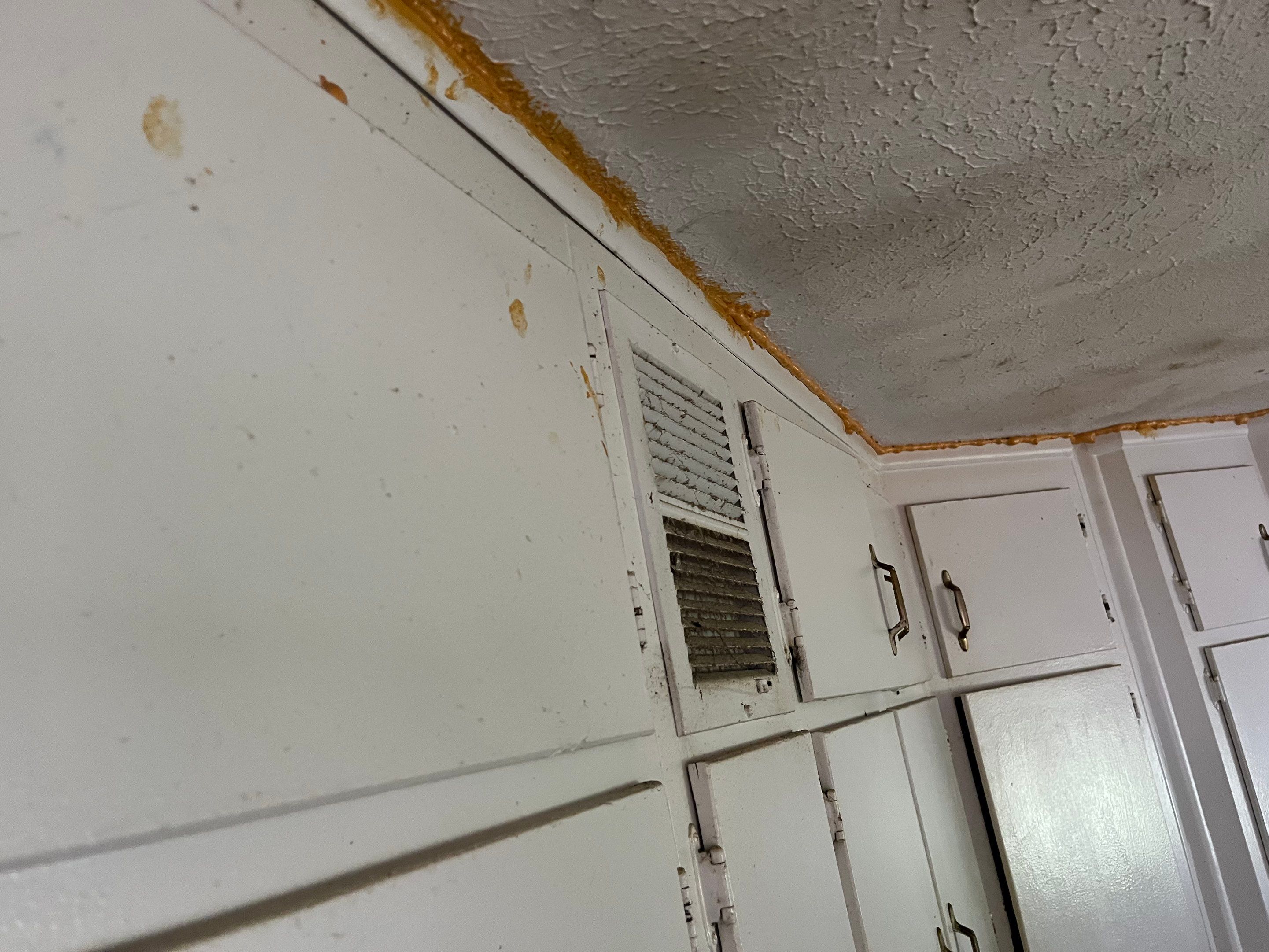 Mold Remediation After Water Damage in a Home in Clarksville, IN by ANR Restoration