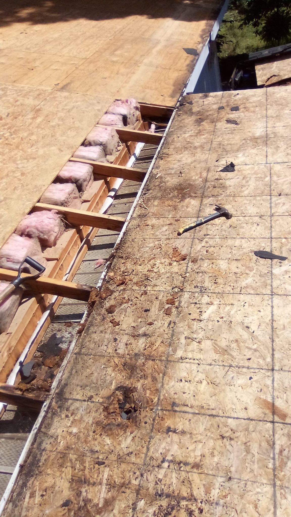 Roof Replacement - Landmark PRO Red Oak by Winchester Roofing