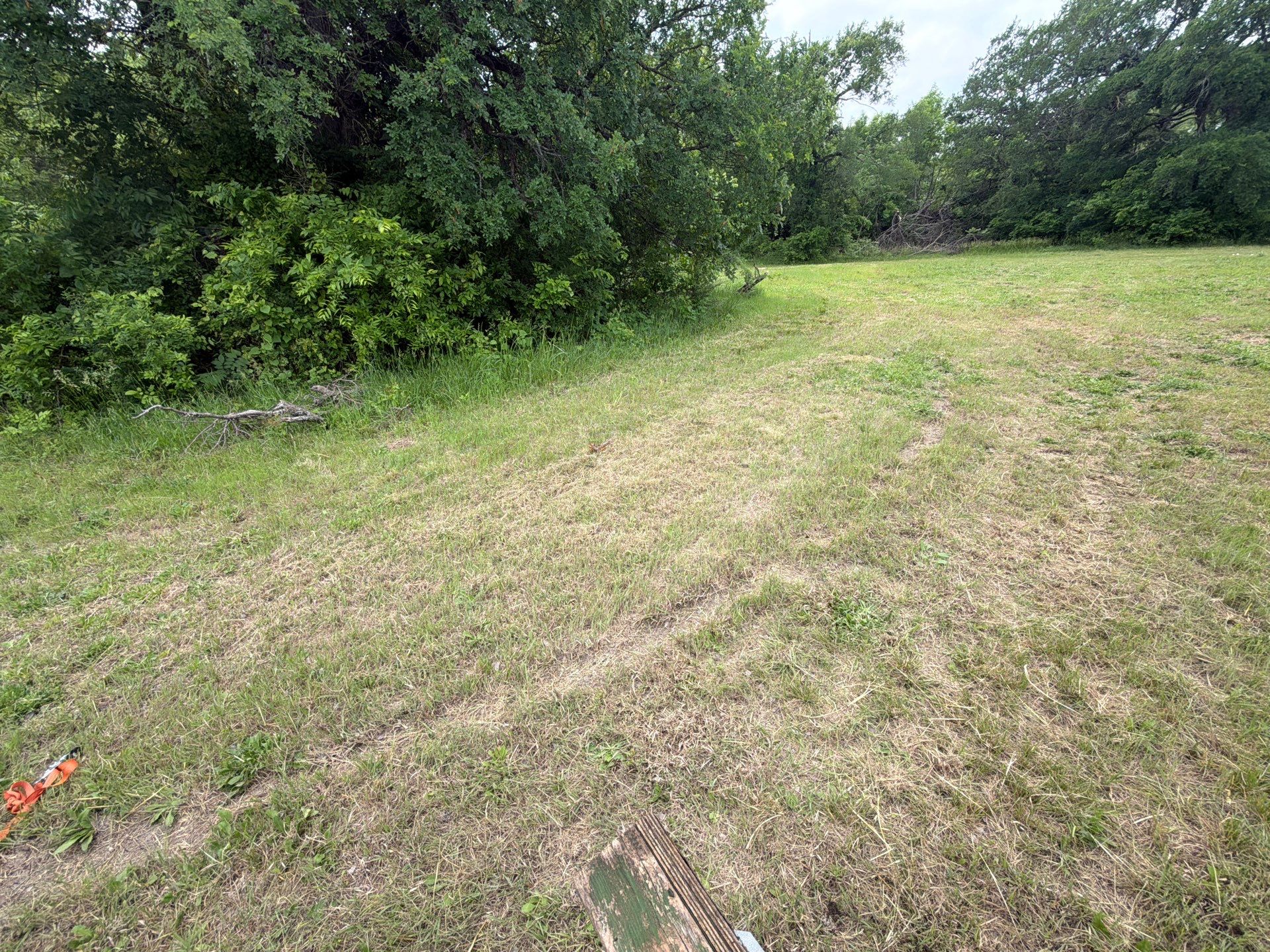 Ag. Exempt in Anna by Rockwall Honey Bee Company