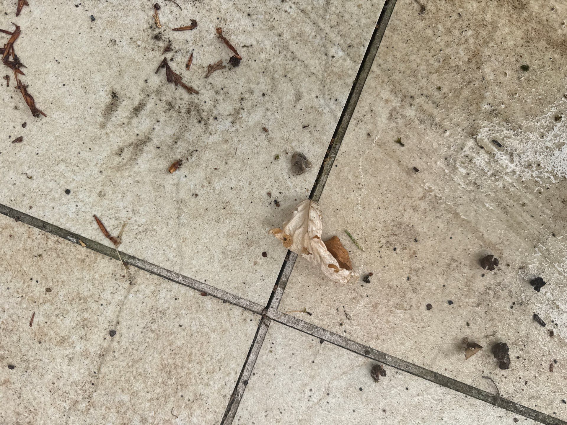 Patio Clean by Ges Exterior Cleaning ltd