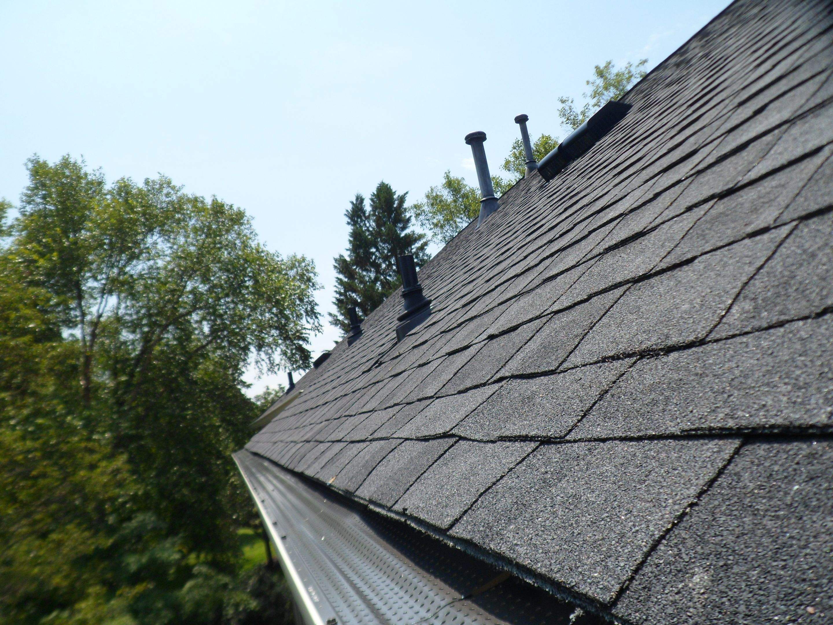 New Shingle Roof & New Gutters and downspouts with covers by Alpha Design Services