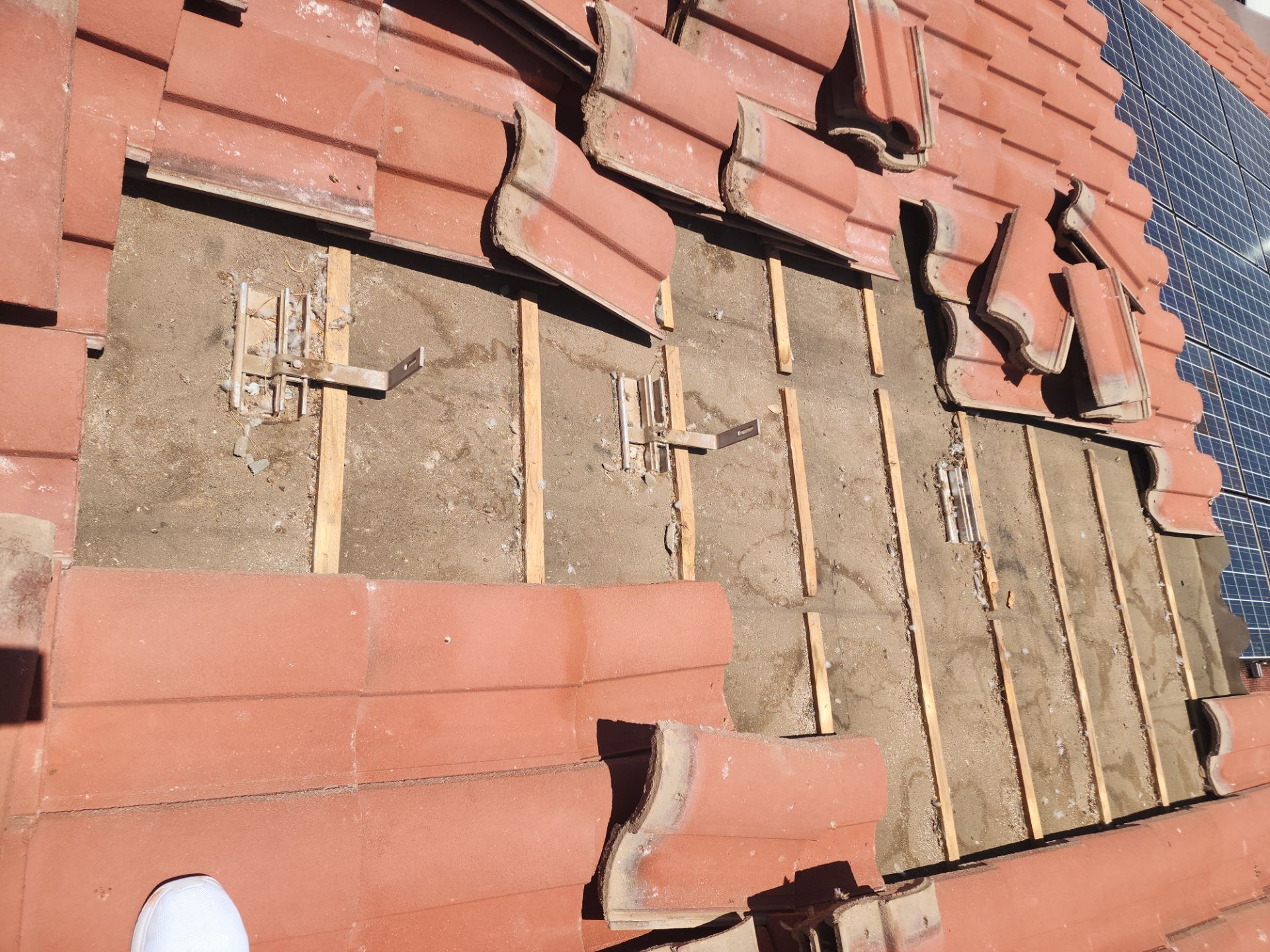 Terracotta Concrete Tile by Reimagine Roofing