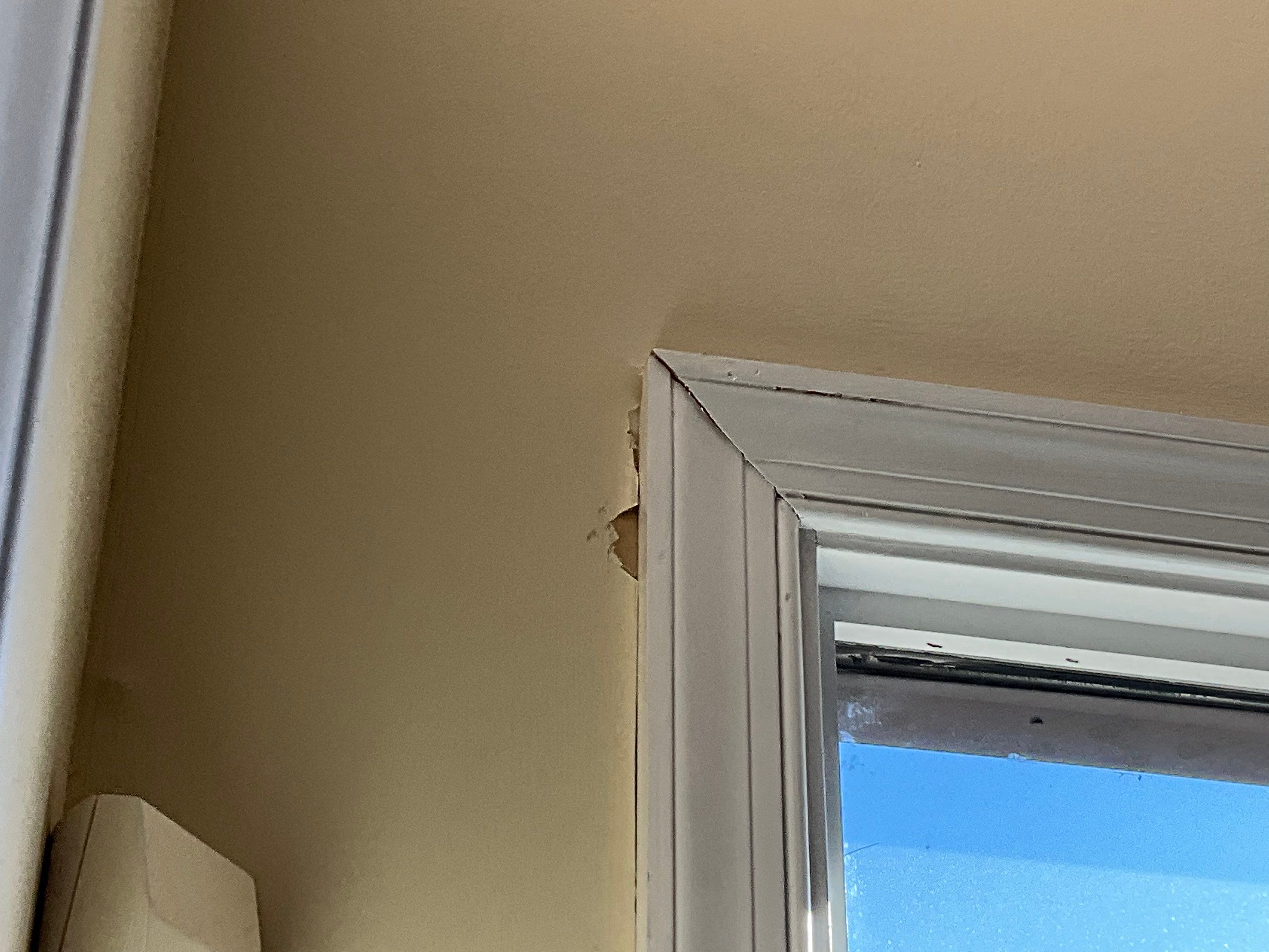 Davis Painting featured photo.