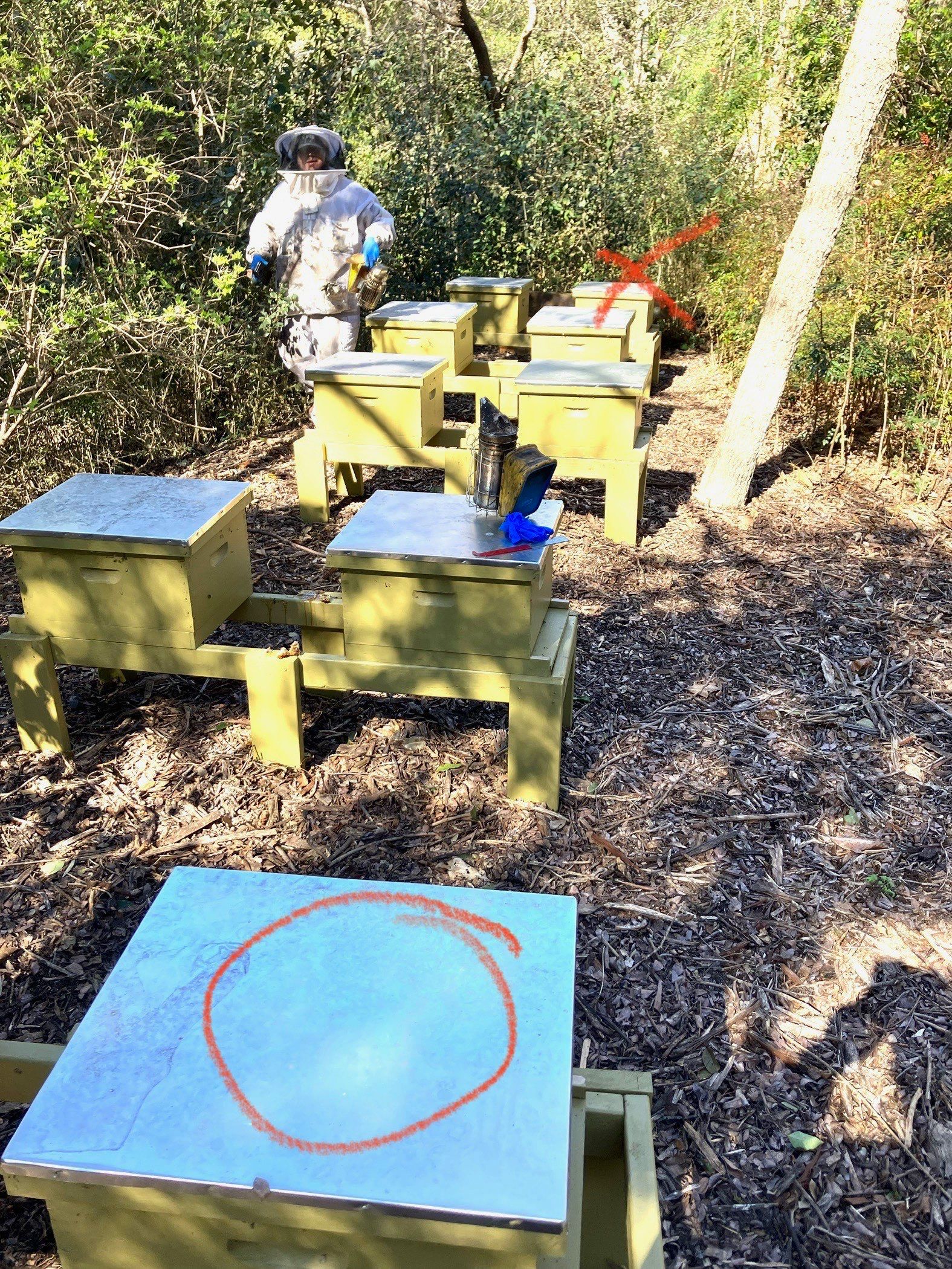 Lakewood Apiary by White Rock Lake- another Ag. Exempt Property by Rockwall Honey Bee Company