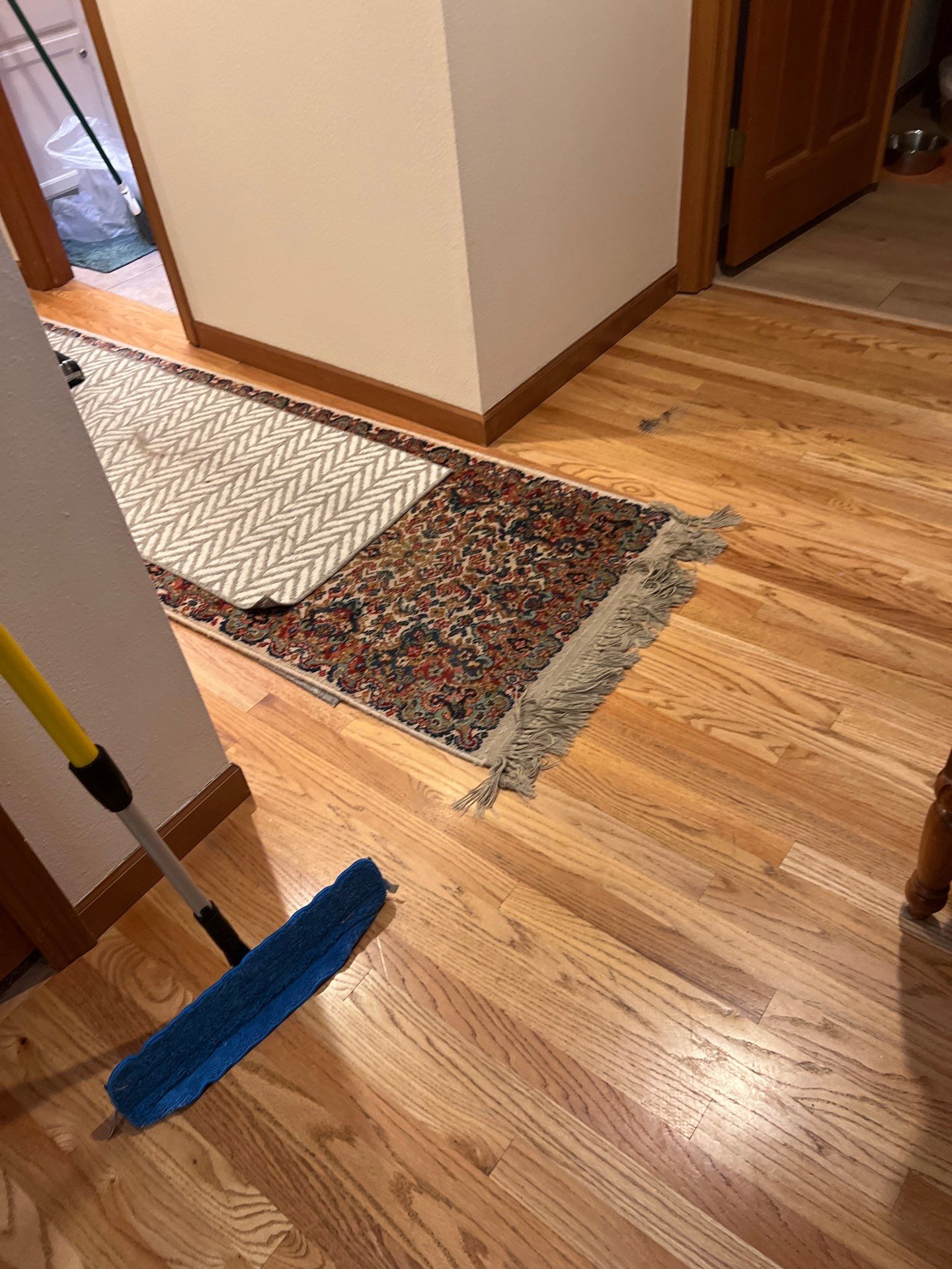 Home Claening Project in Lake Oswego by Cloud 9 Professional Cleaning Services