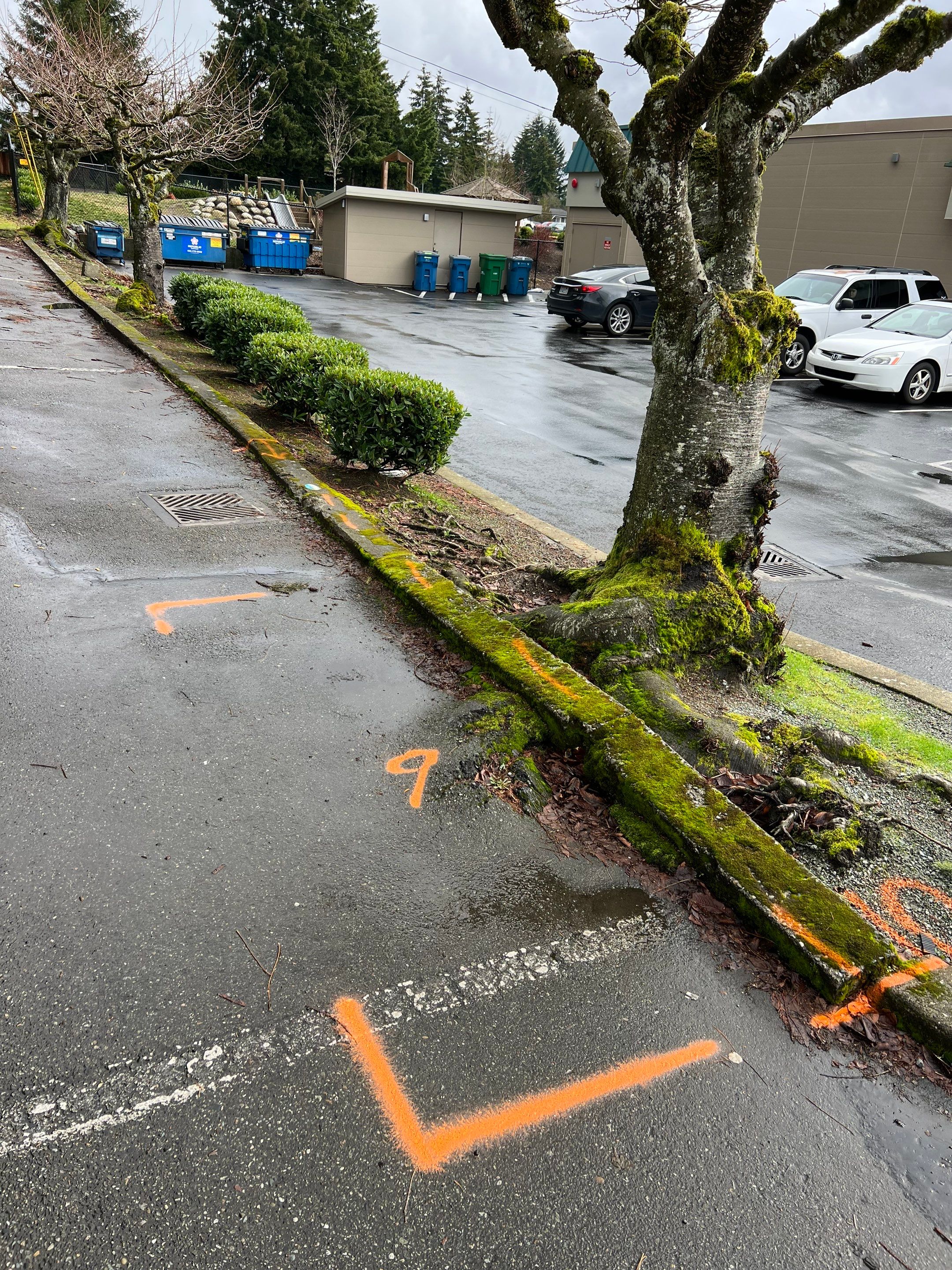 Amanda | Concrete Curb by Jireh Asphalt & Concrete Inc 