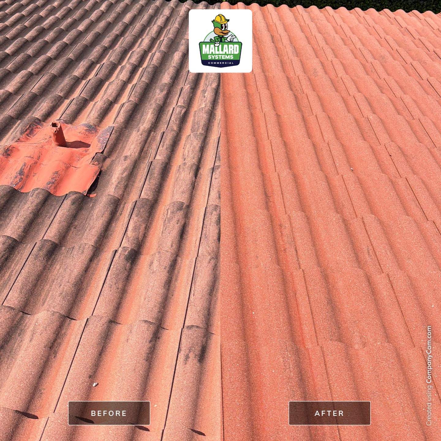 Tile Roof Cleaning in Celebration by Mallard Systems