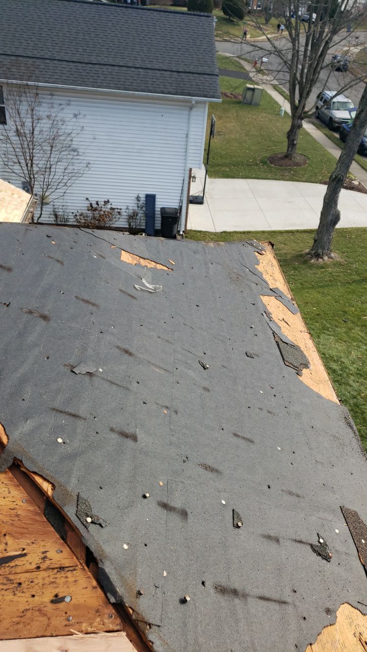 Springfield: CertainTeed Landmark Designer Shingles in Burnt Sienna by RM Banning, Inc.