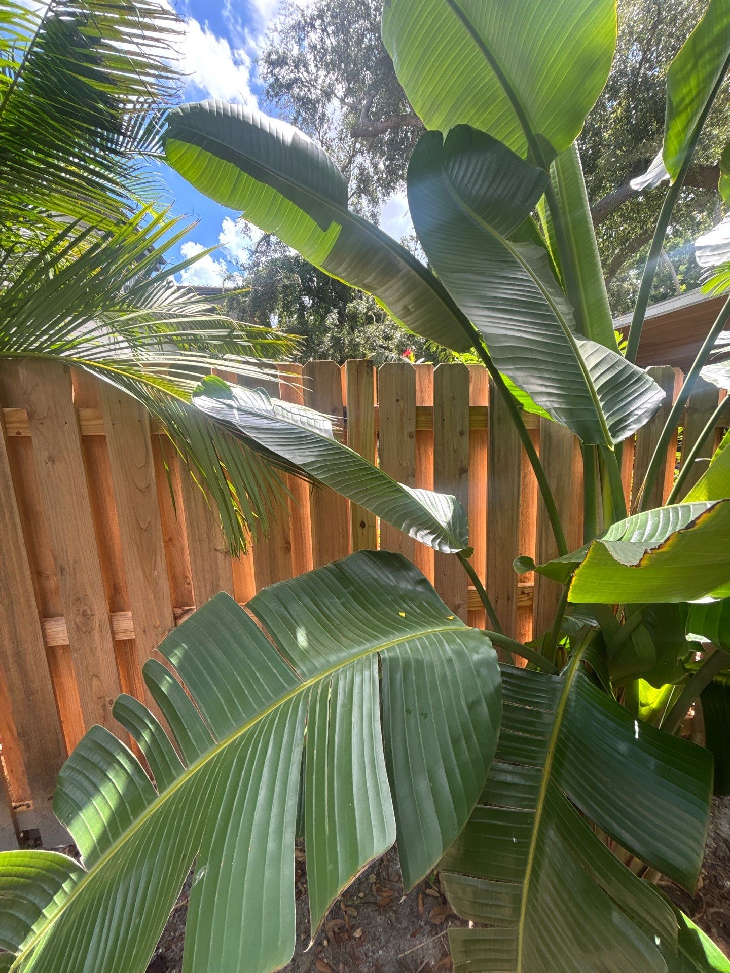 1824 Magnolia St  by H&Y Fence