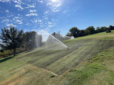 Project in Modesto